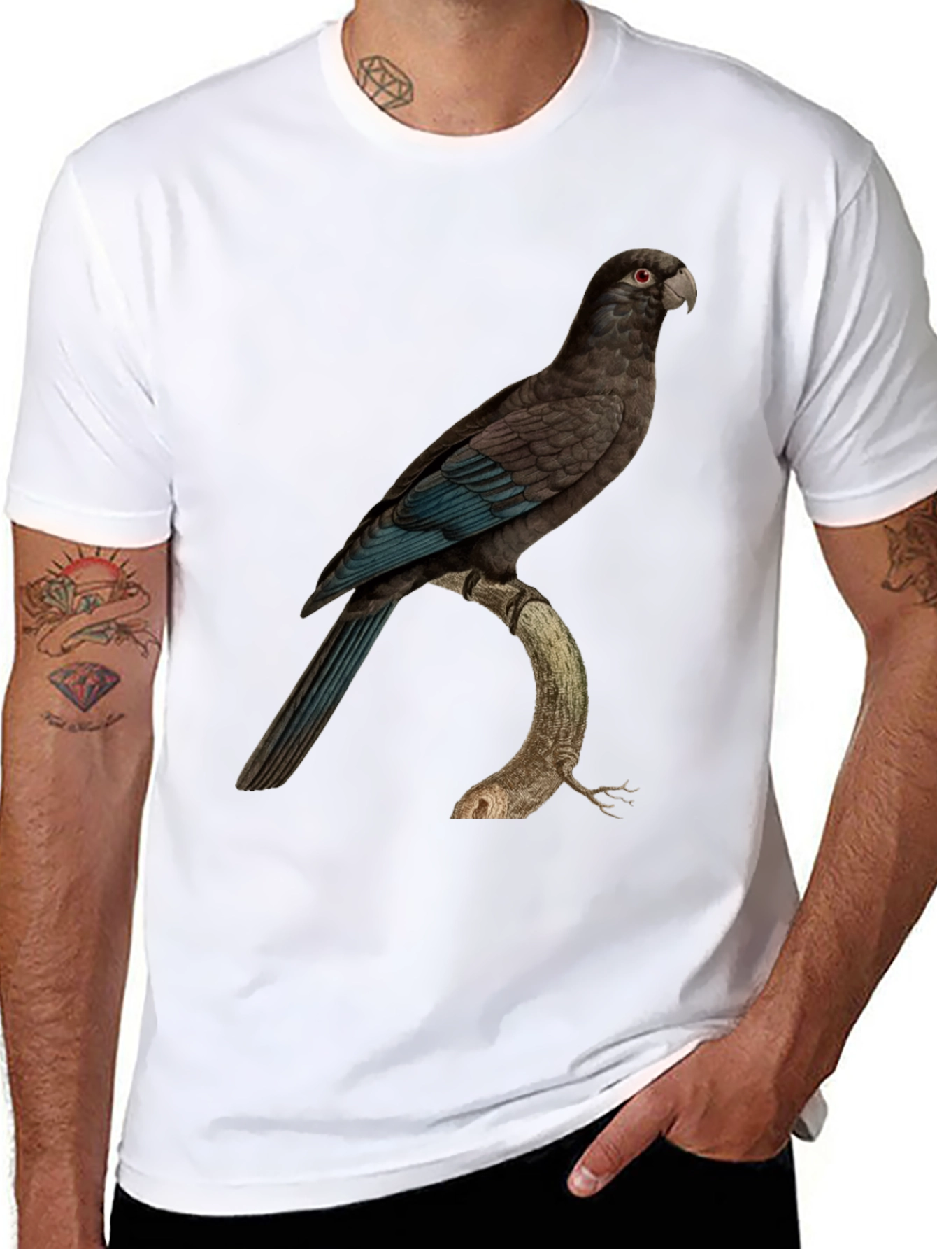 Parrot Graphic Print Black T-Shirt