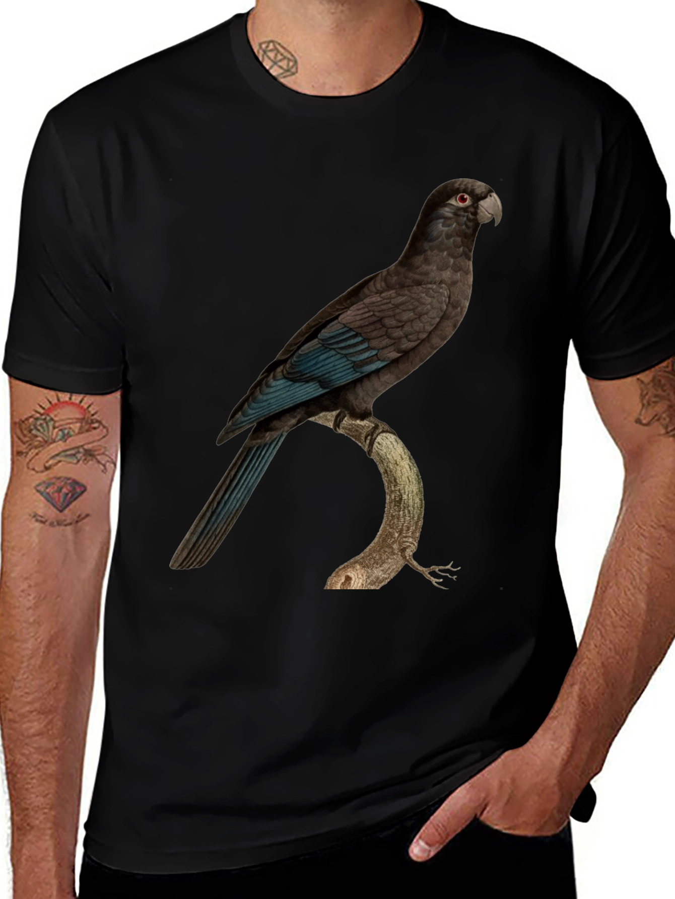 Parrot Graphic Print Black T-Shirt
