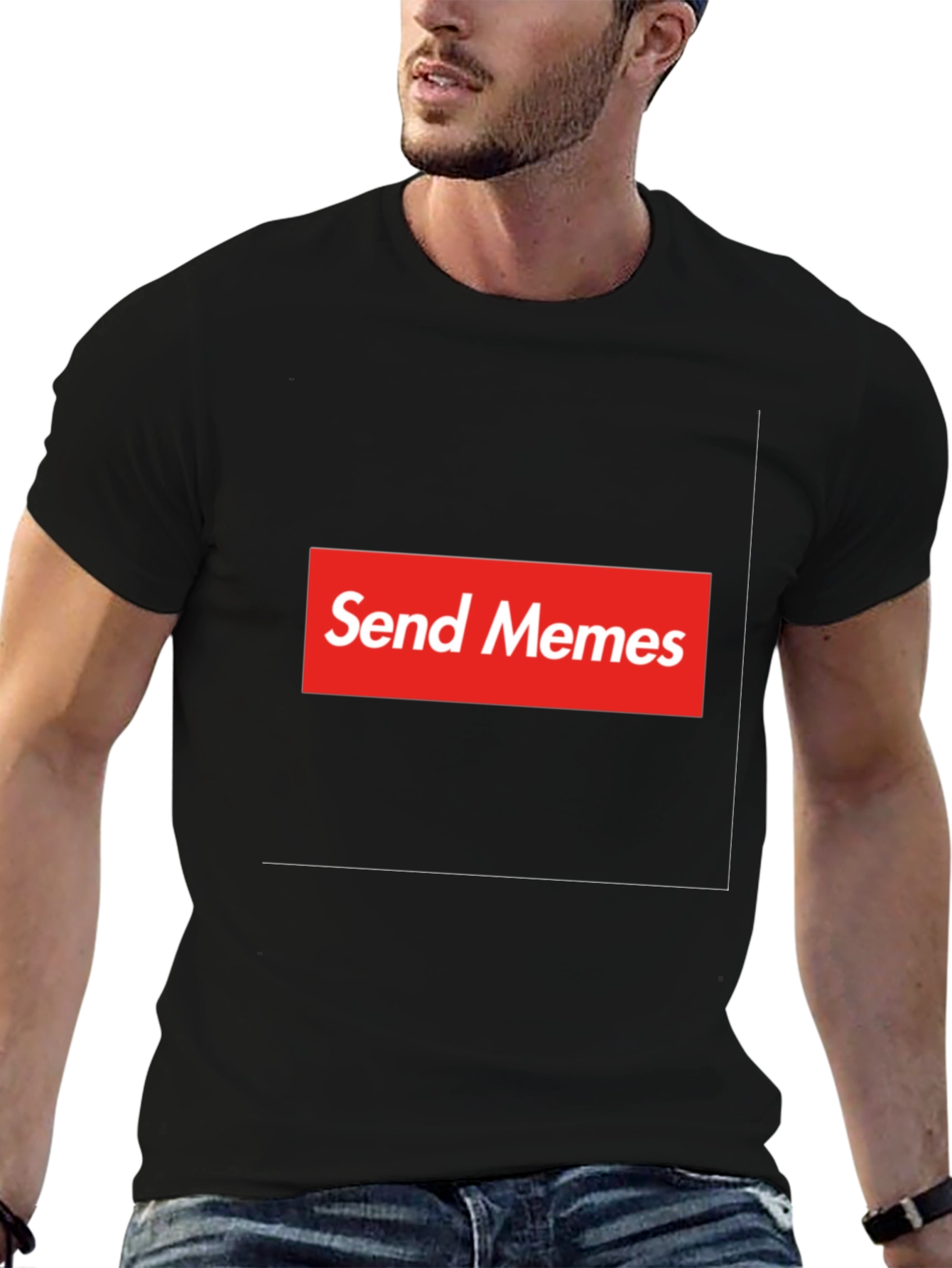 Send Memes Graphic Tee - Supreme Parody