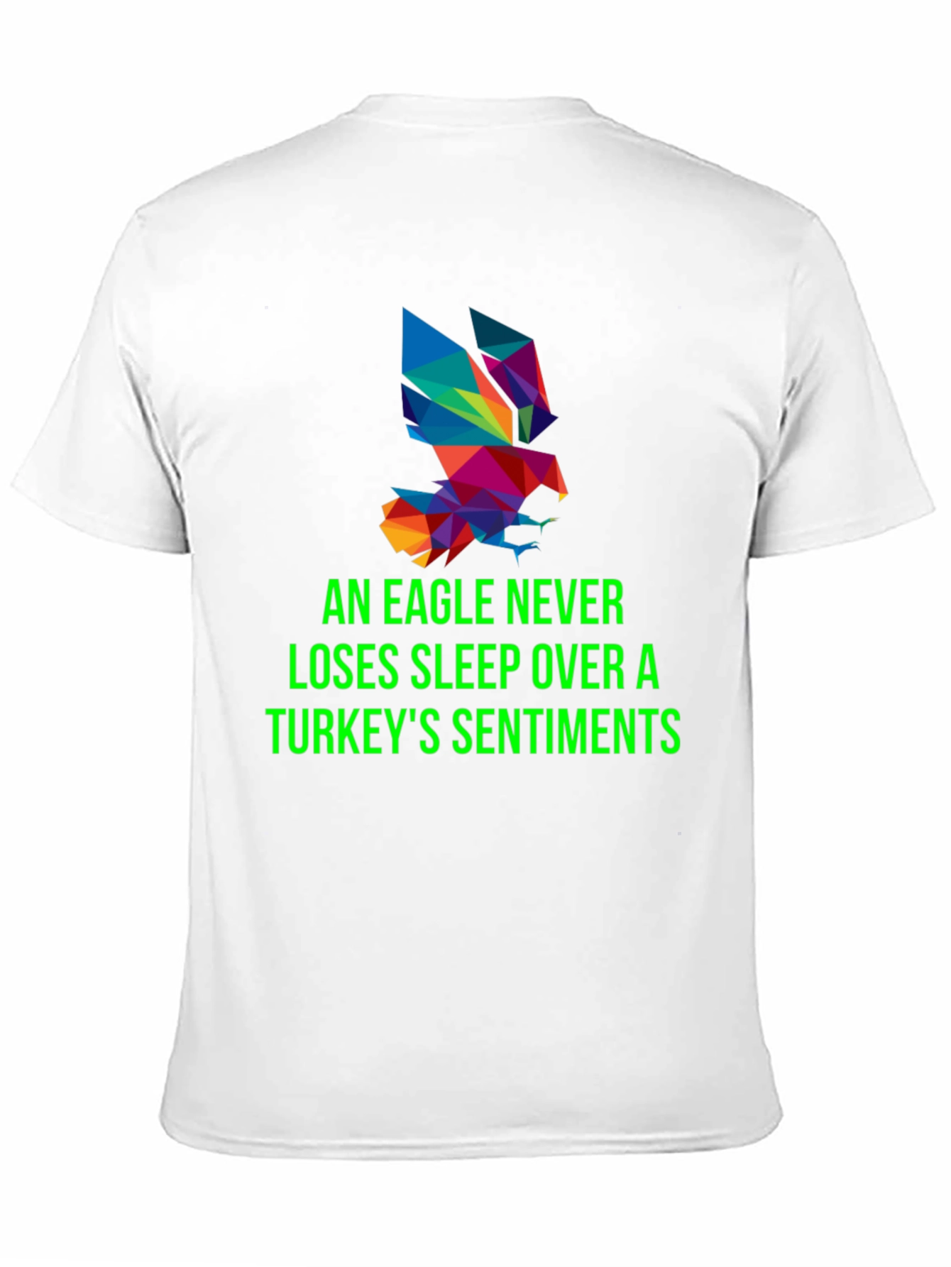 Eagle Never Loses Sleep Mens Graphic Tee