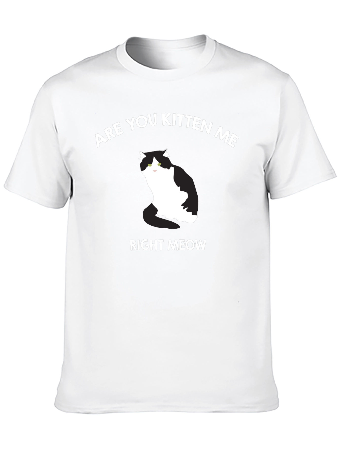 Are You Kitten Me Right Meow T-Shirt