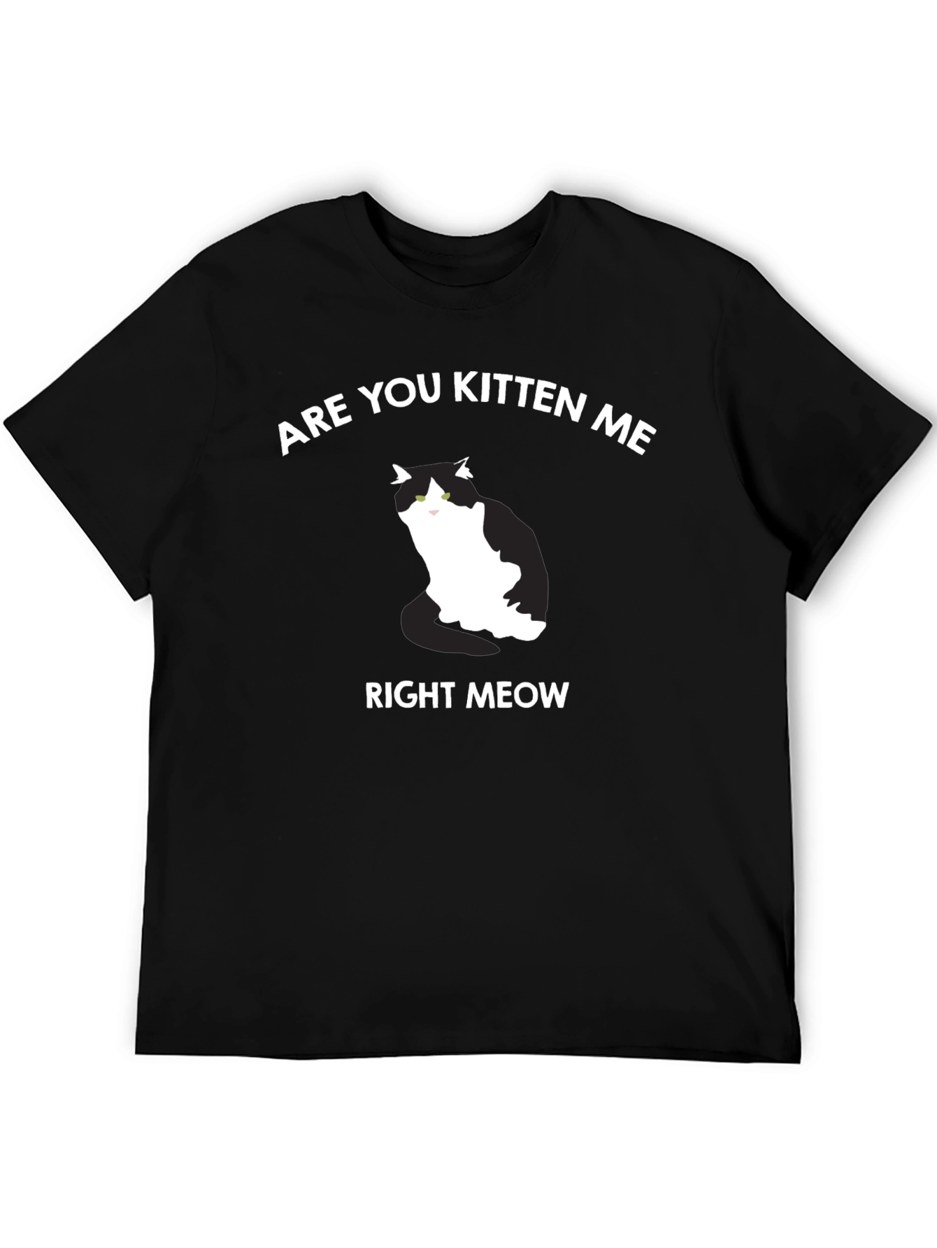 Are You Kitten Me Right Meow T-Shirt