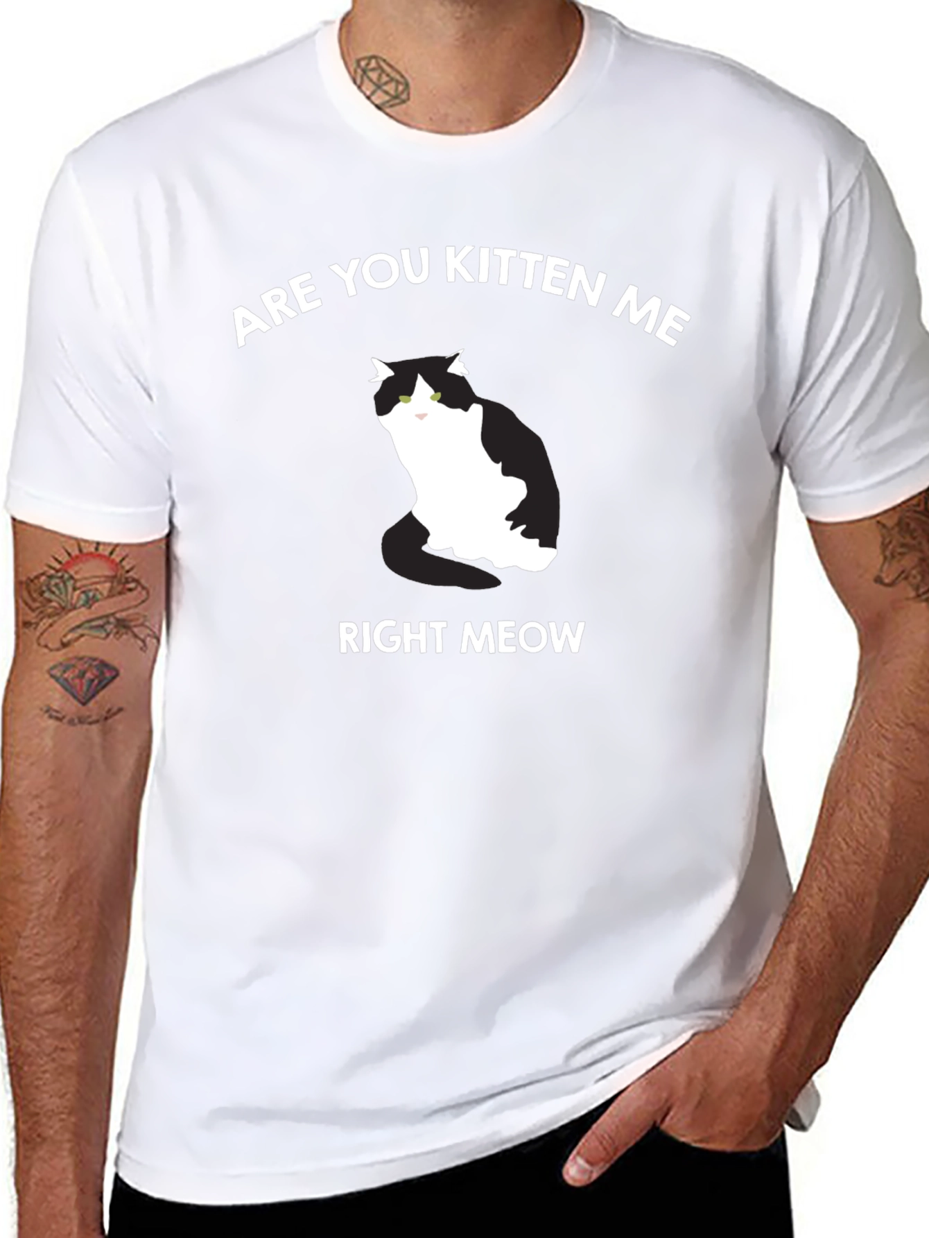 Are You Kitten Me Right Meow T-Shirt