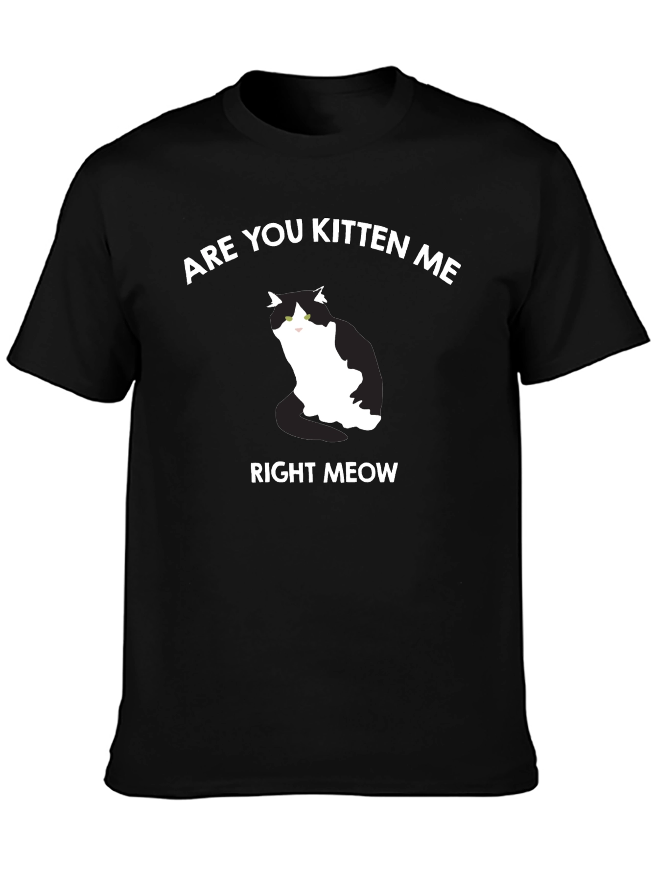 Are You Kitten Me Right Meow T-Shirt