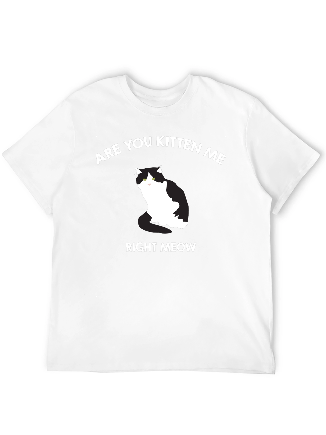 Are You Kitten Me Right Meow T-Shirt