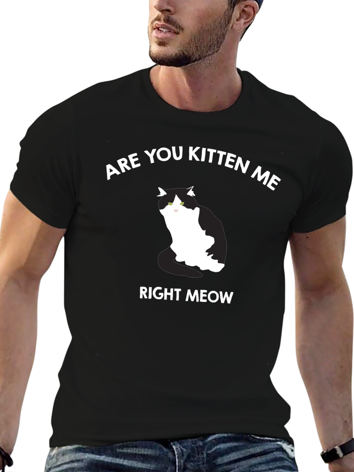 Are You Kitten Me Right Meow T-Shirt