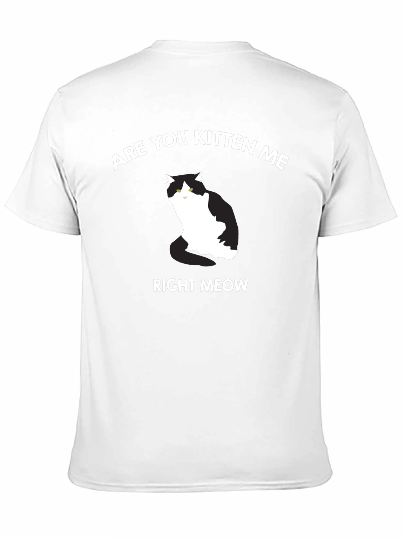 Are You Kitten Me Right Meow T-Shirt