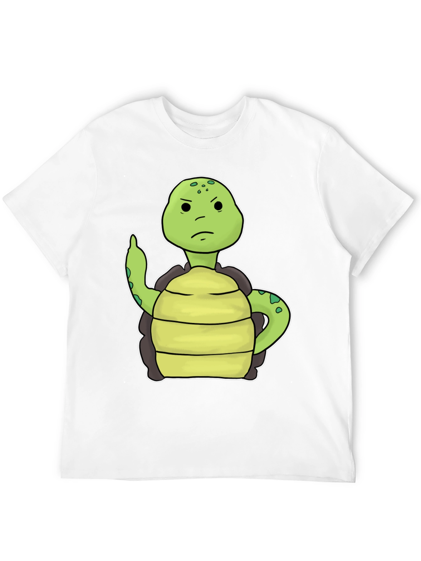 Grumpy Turtle T-Shirt Funny Graphic Tee