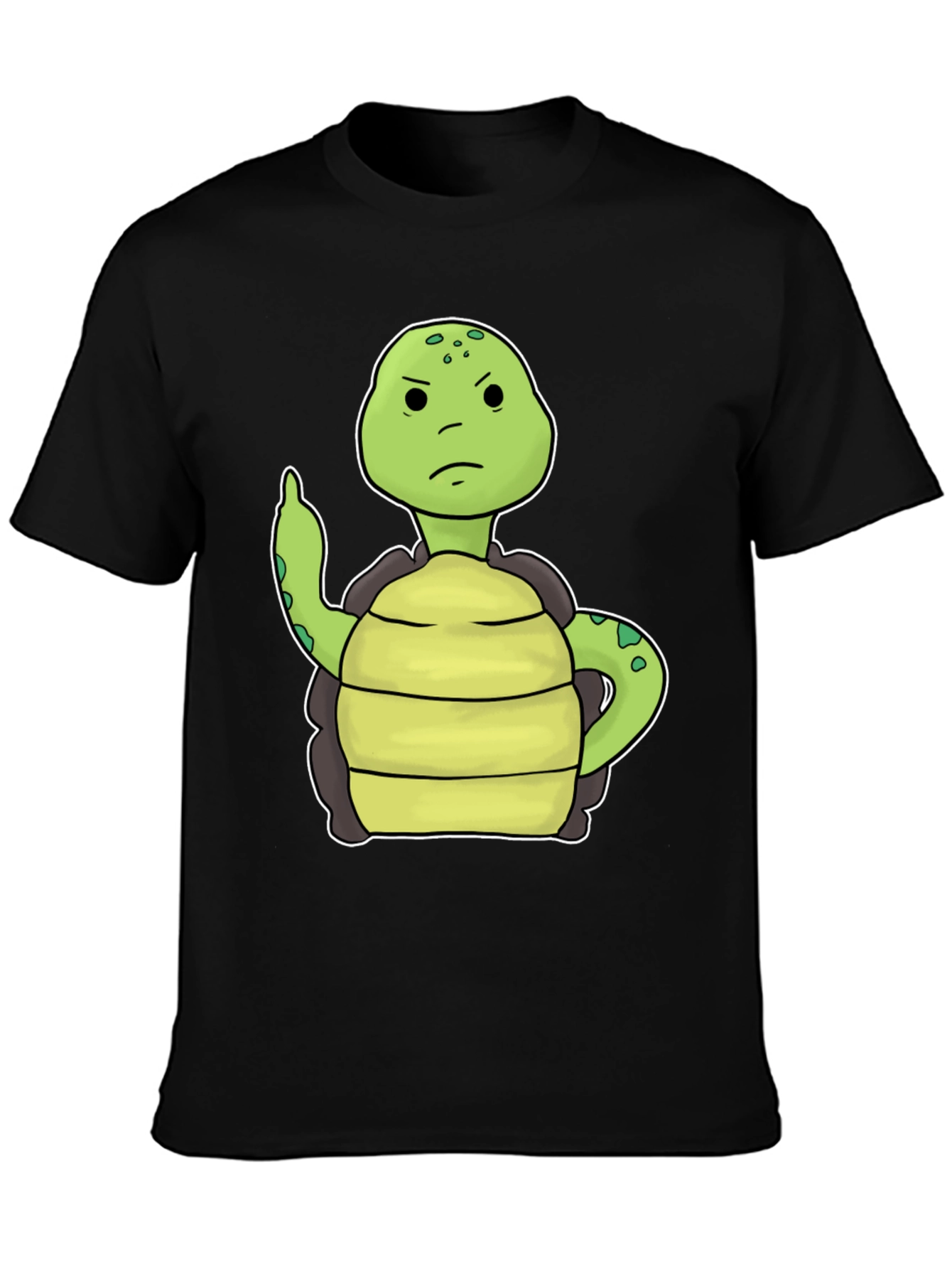 Grumpy Turtle T-Shirt Funny Graphic Tee