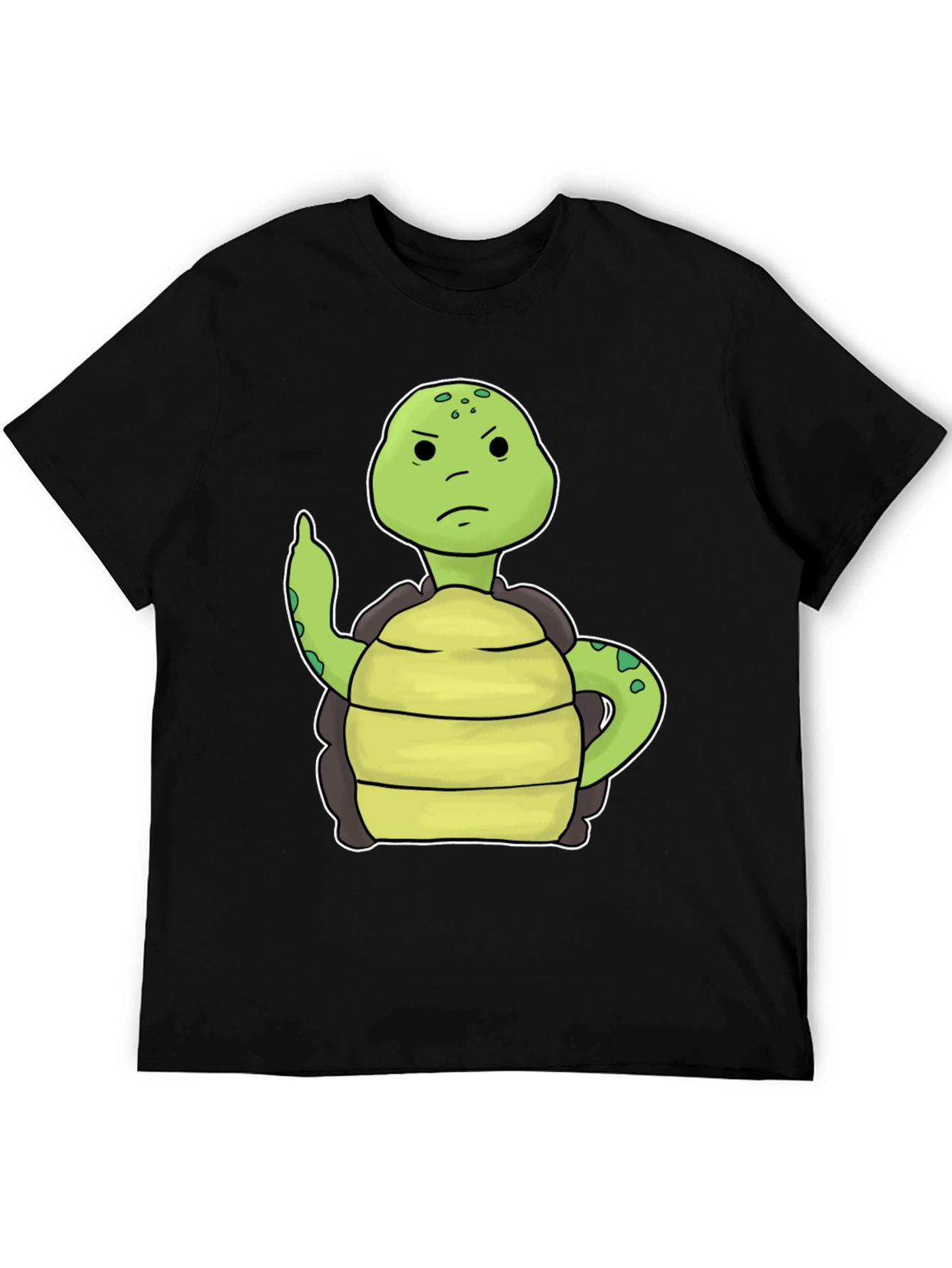 Grumpy Turtle T-Shirt Funny Graphic Tee