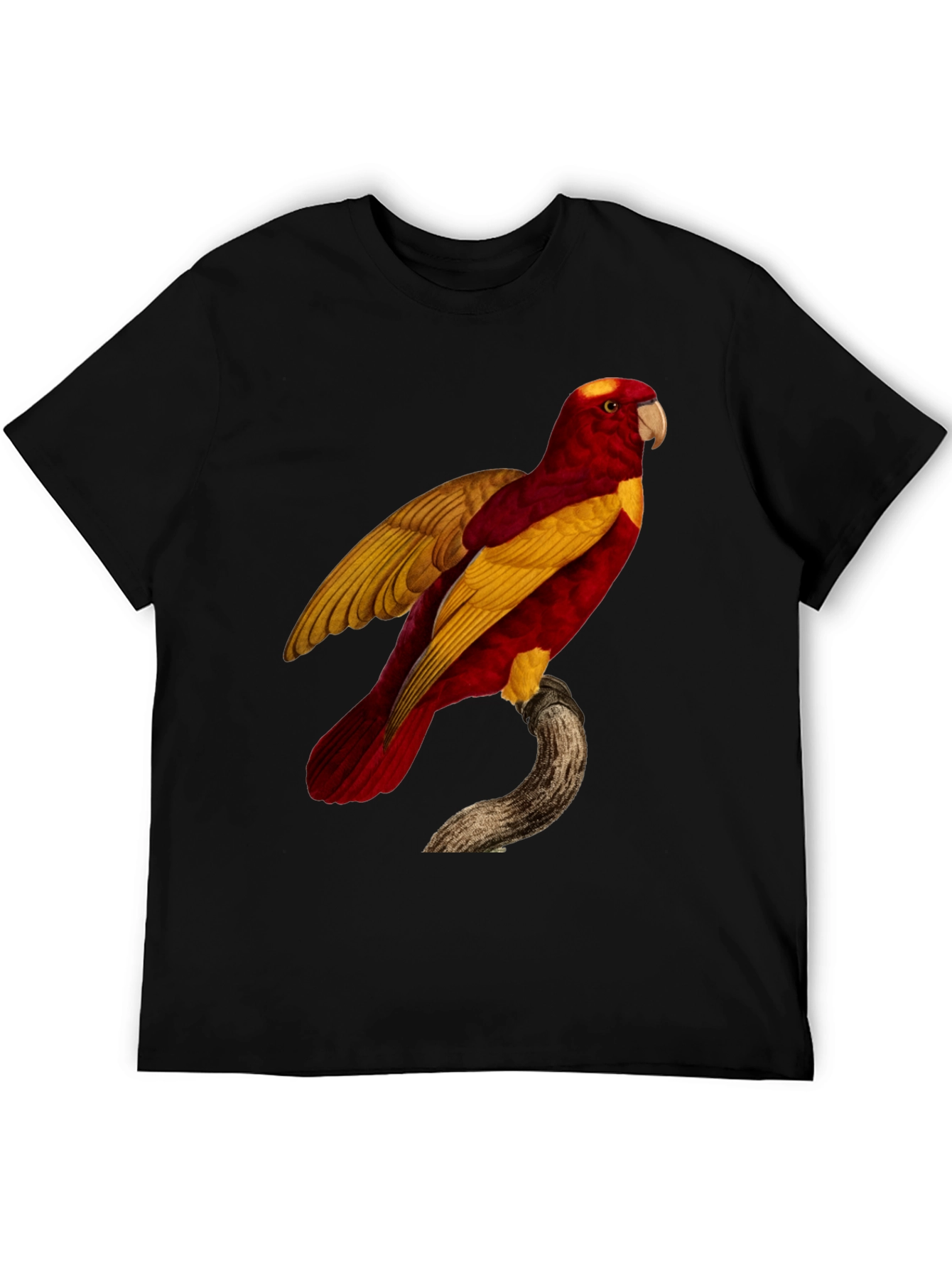 Exotic Parrot Graphic Tee