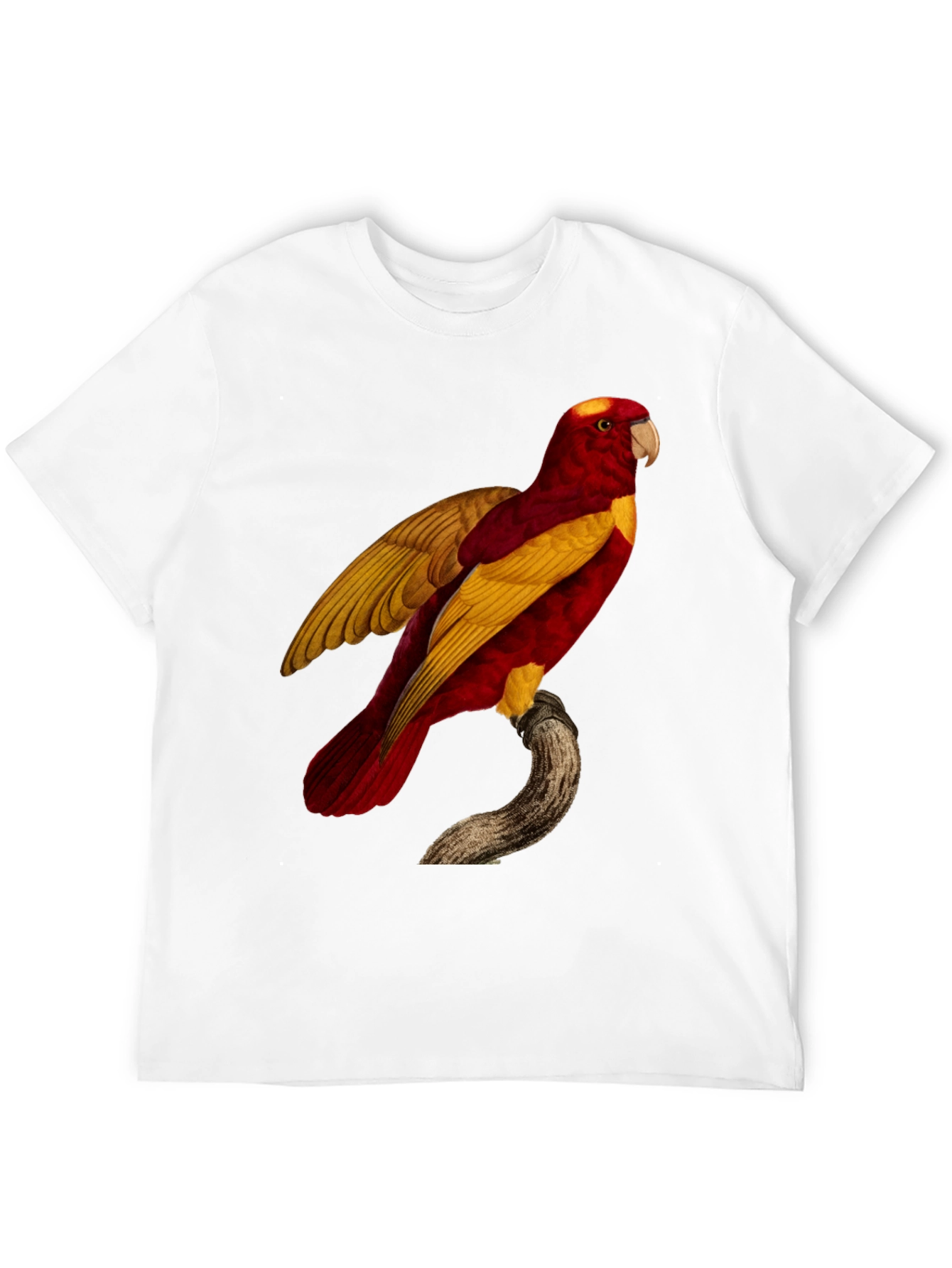 Exotic Parrot Graphic Tee
