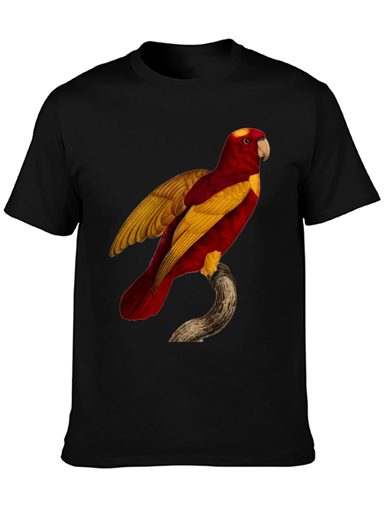 Exotic Parrot Graphic Tee