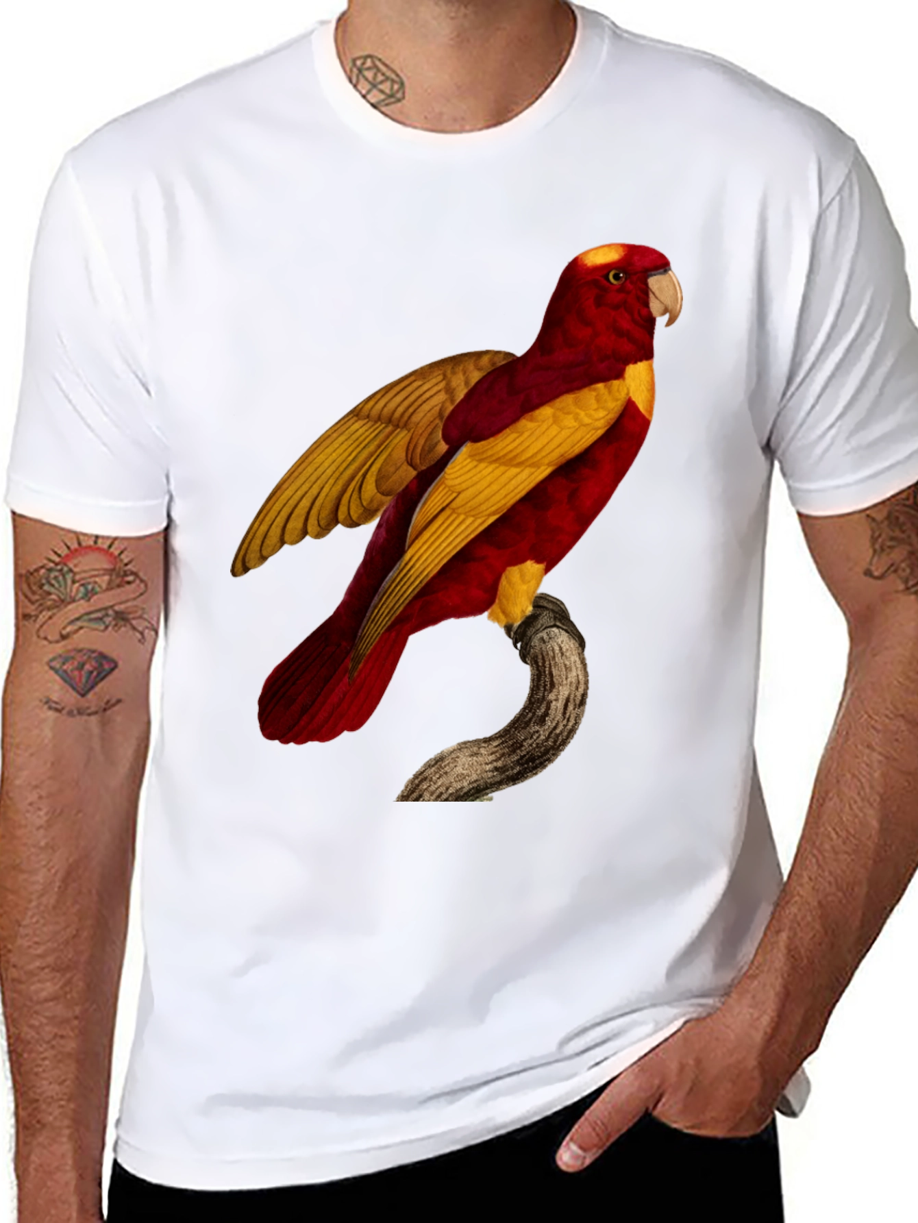 Exotic Parrot Graphic Tee
