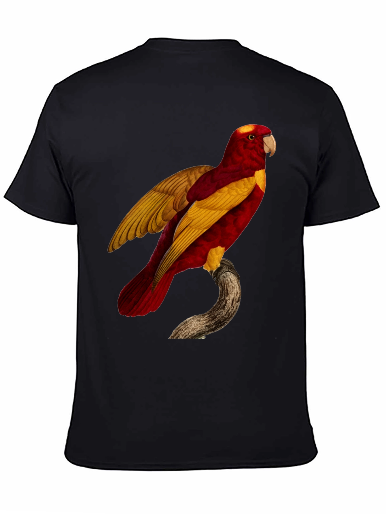 Exotic Parrot Graphic Tee