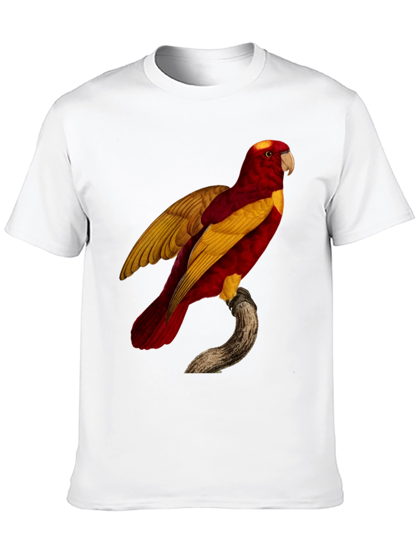 Exotic Parrot Graphic Tee