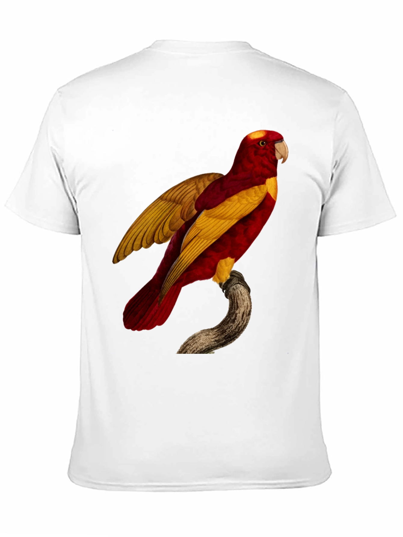 Exotic Parrot Graphic Tee