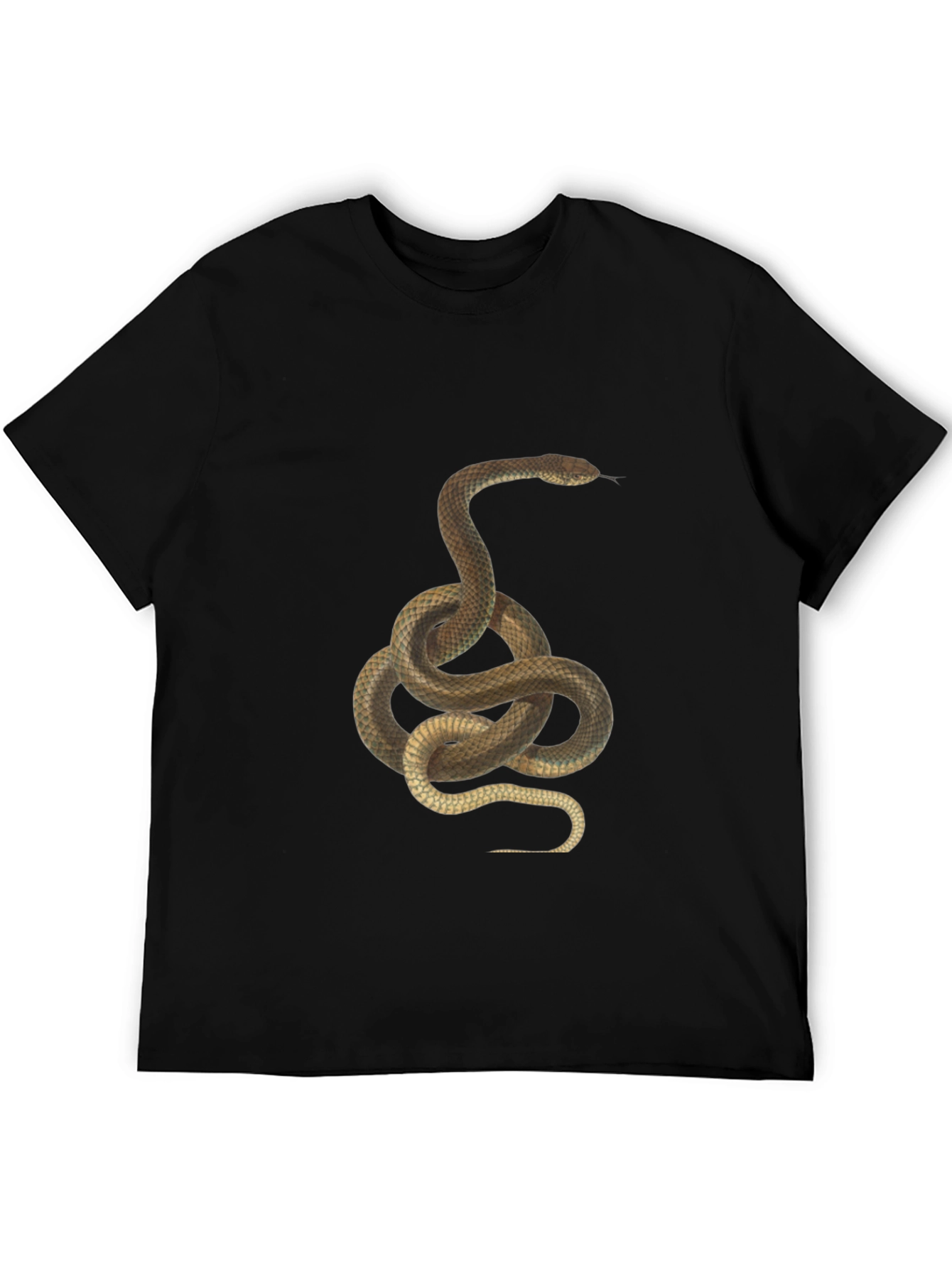 Snake Graphic Tee - Black Cotton T-Shirt