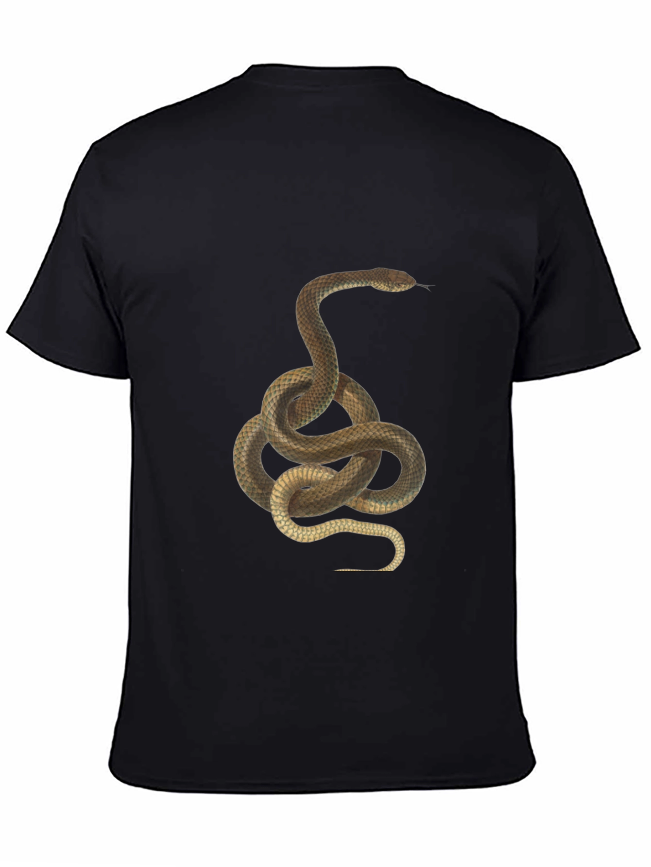 Snake Graphic Tee - Black Cotton T-Shirt