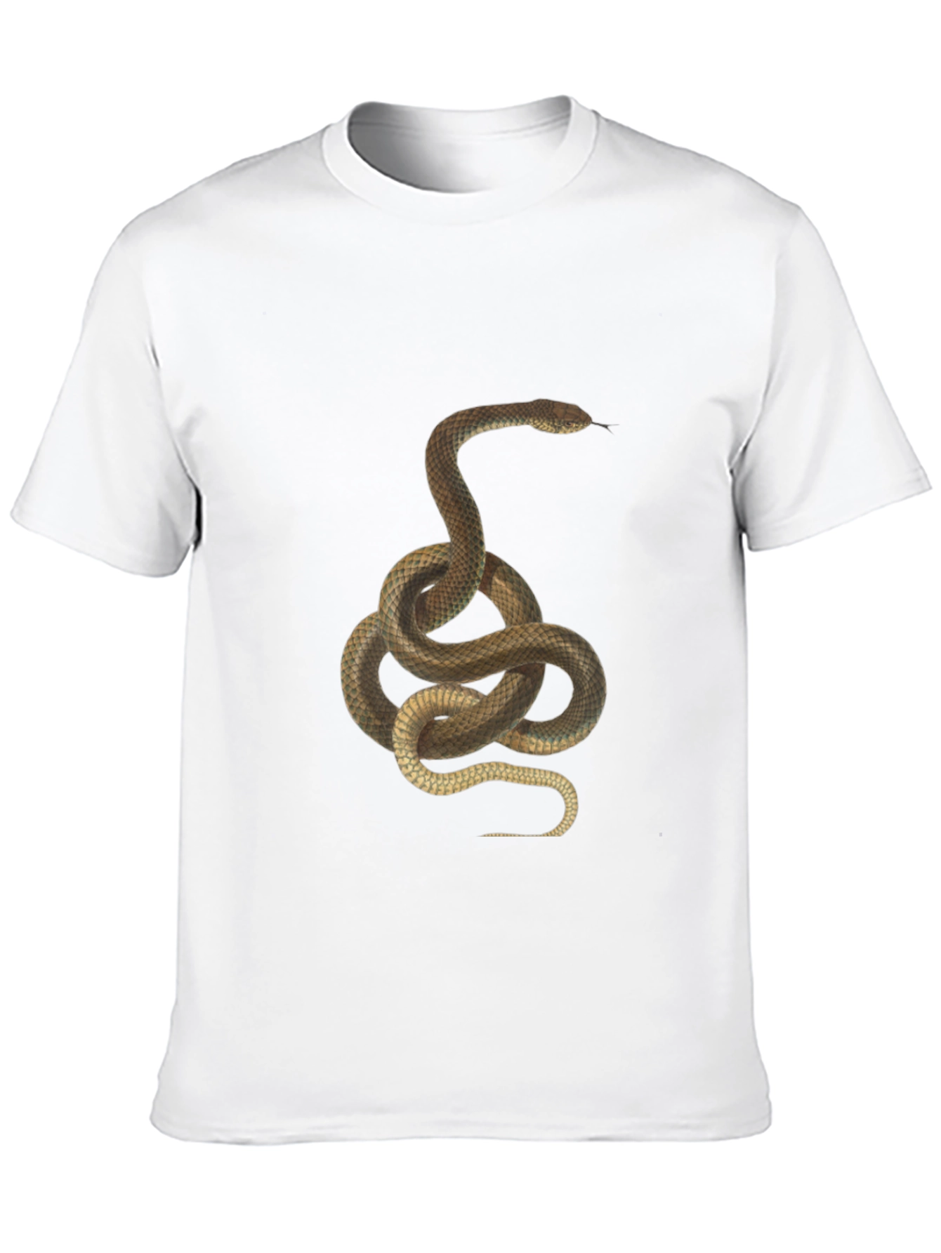 Snake Graphic Tee - Black Cotton T-Shirt