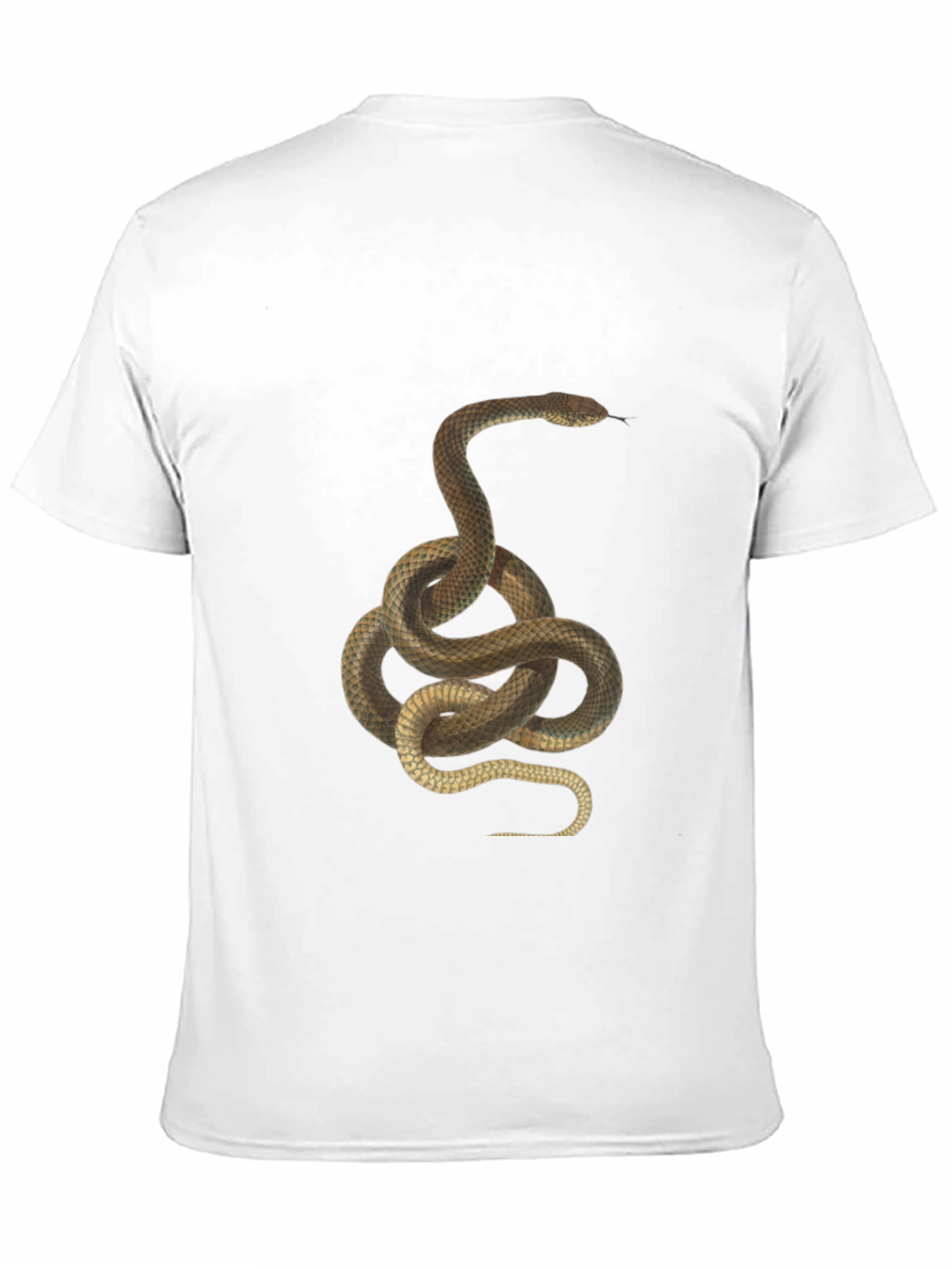 Snake Graphic Tee - Black Cotton T-Shirt