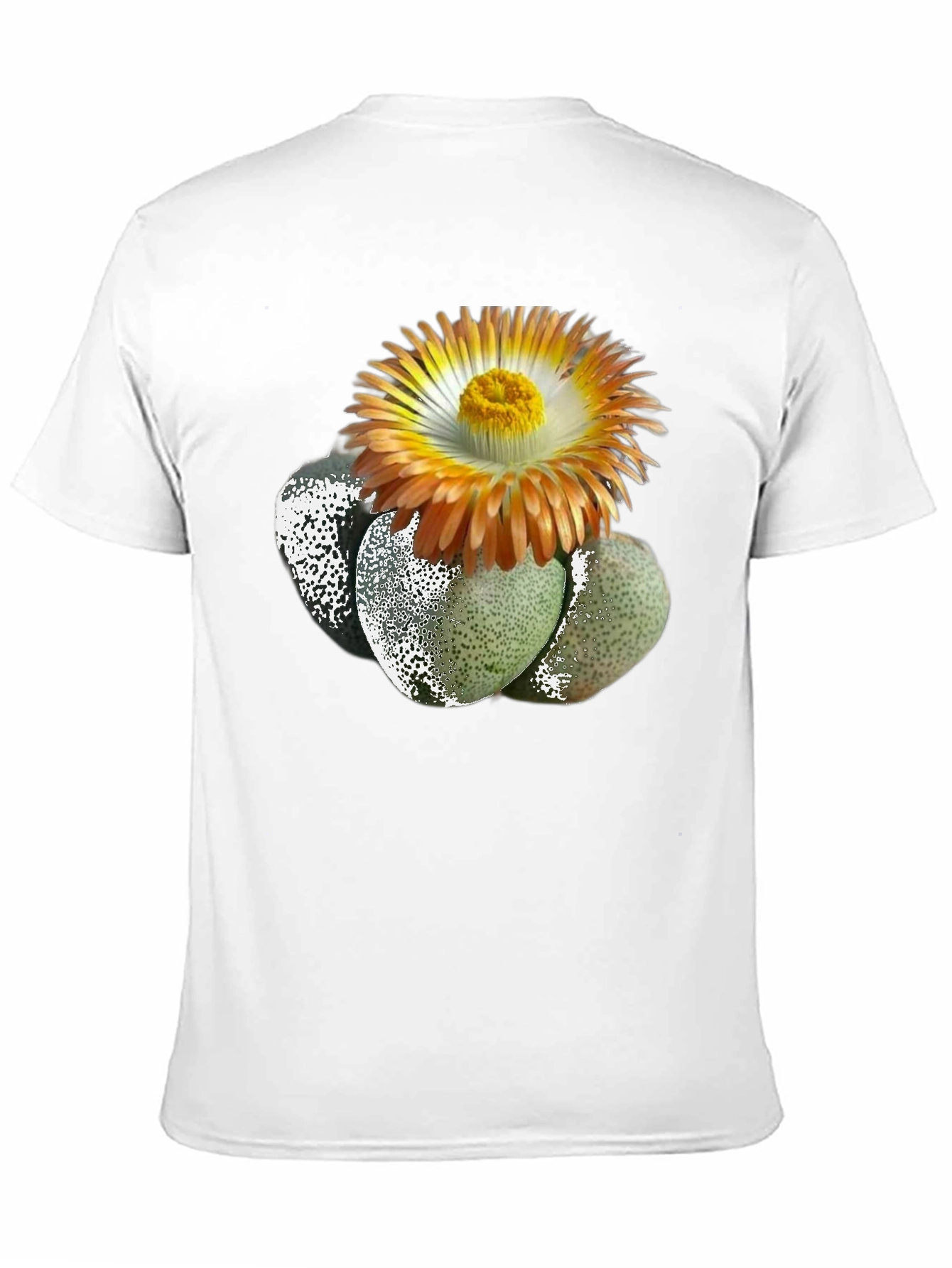 Living Stone Succulent Graphic T-Shirt