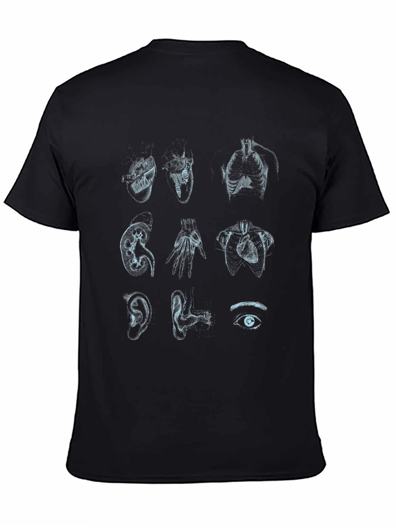 Anatomical Sketch Print T-Shirt