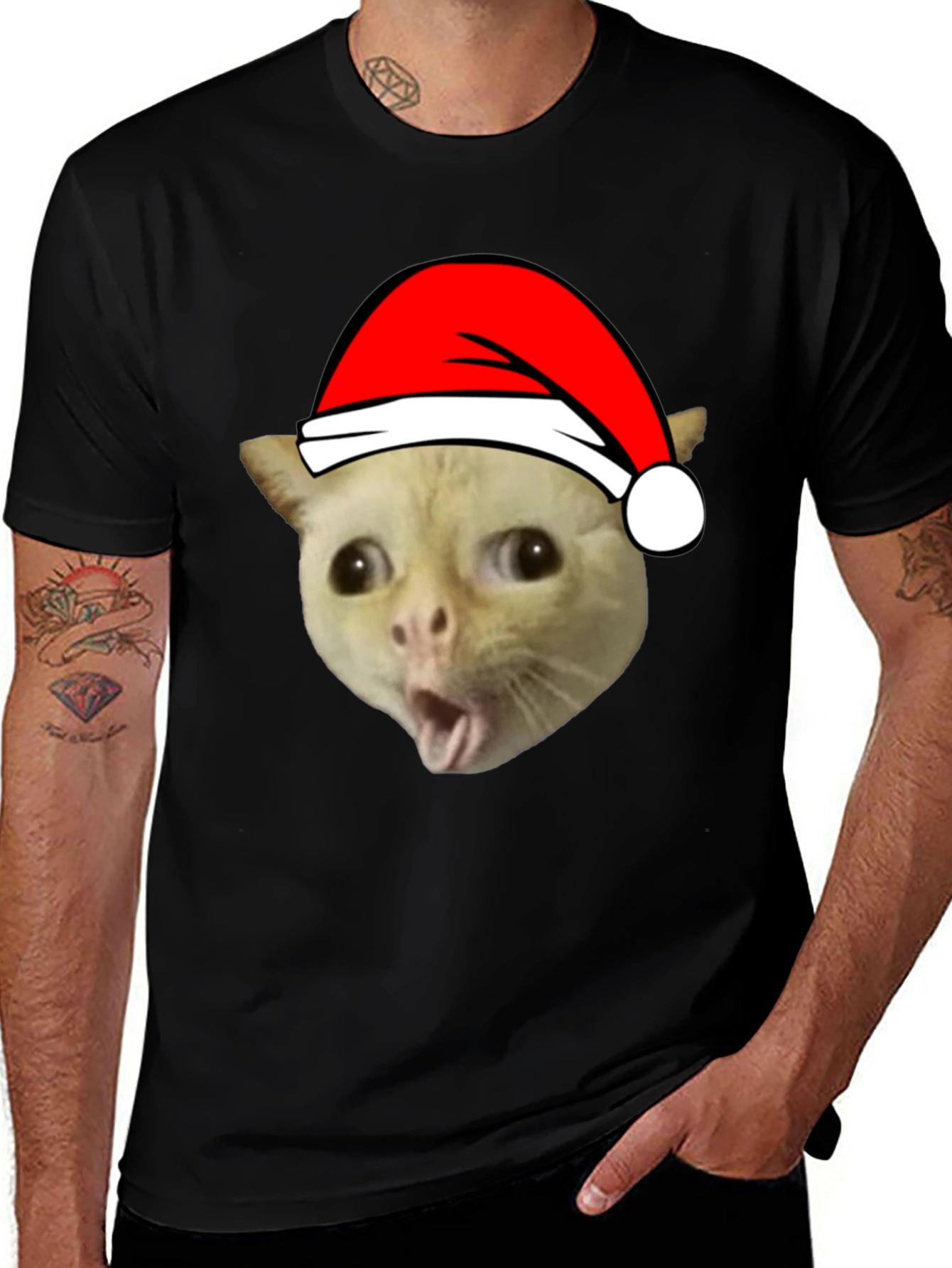Funny Cat Christmas T-Shirt - Holiday Humor