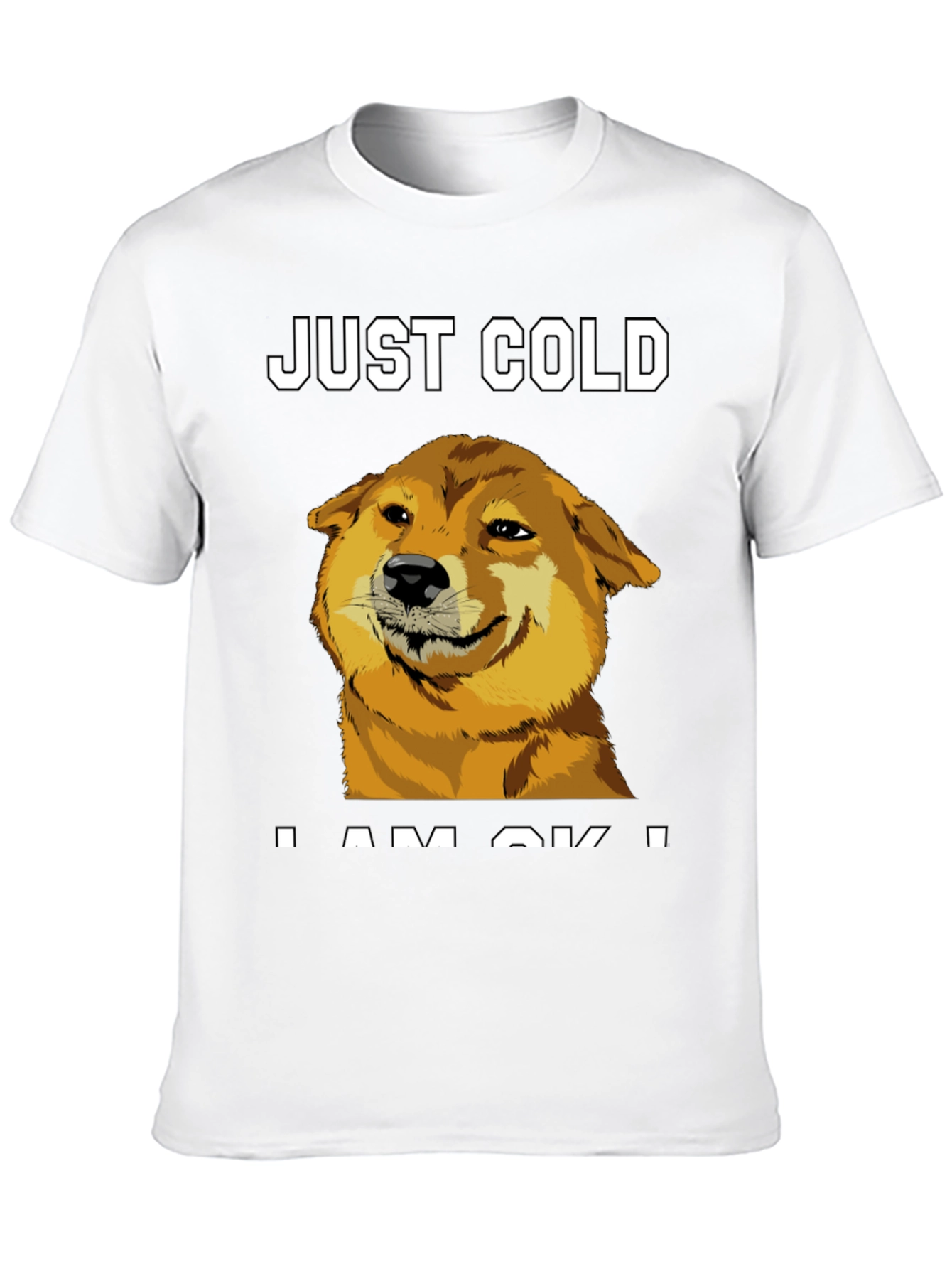 Just Cold? Doge Meme Graphic Tee - Black