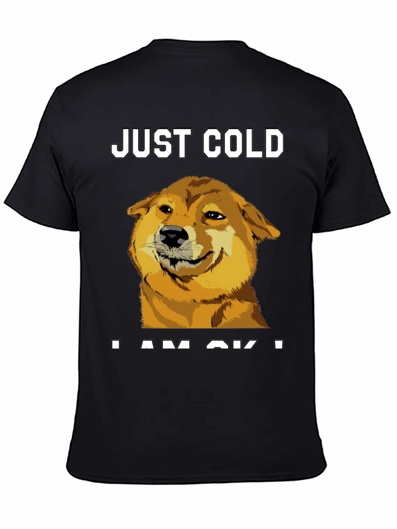 Just Cold? Doge Meme Graphic Tee - Black