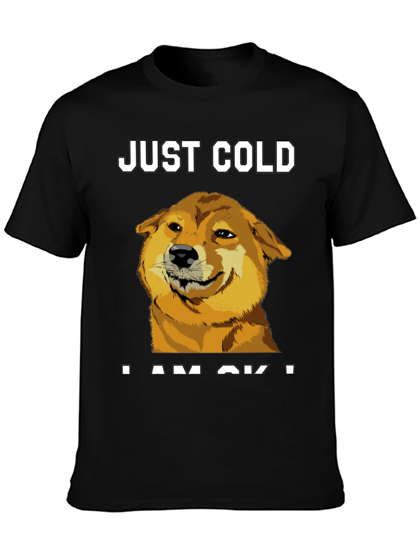 Just Cold? Doge Meme Graphic Tee - Black