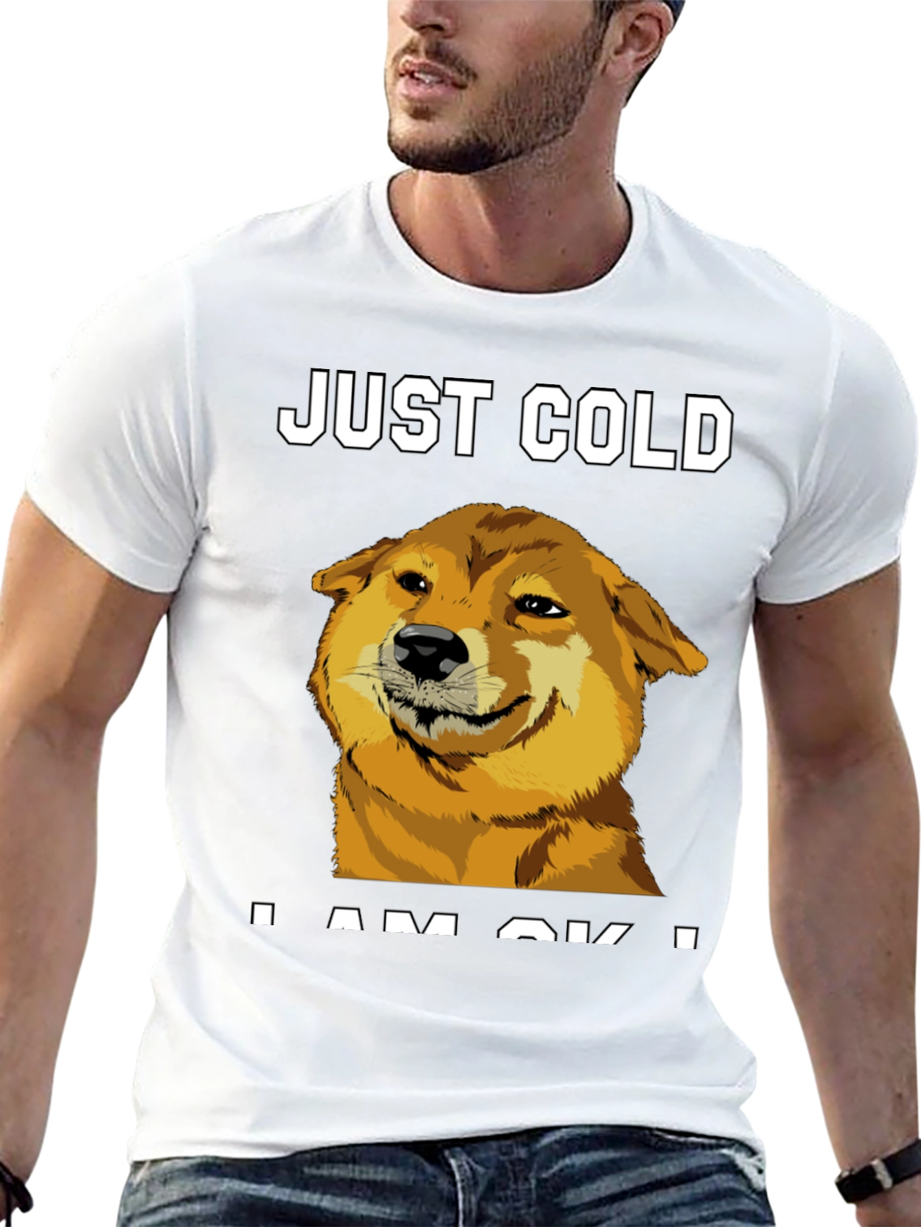 Just Cold? Doge Meme Graphic Tee - Black