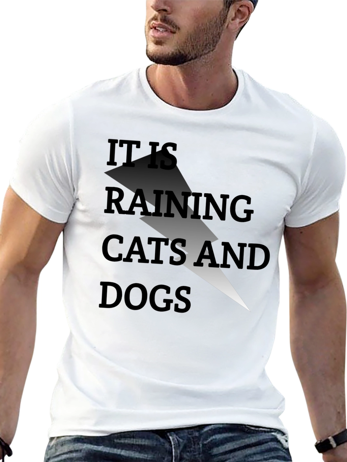 It Is Raining Cats and Dogs Graphic Tee