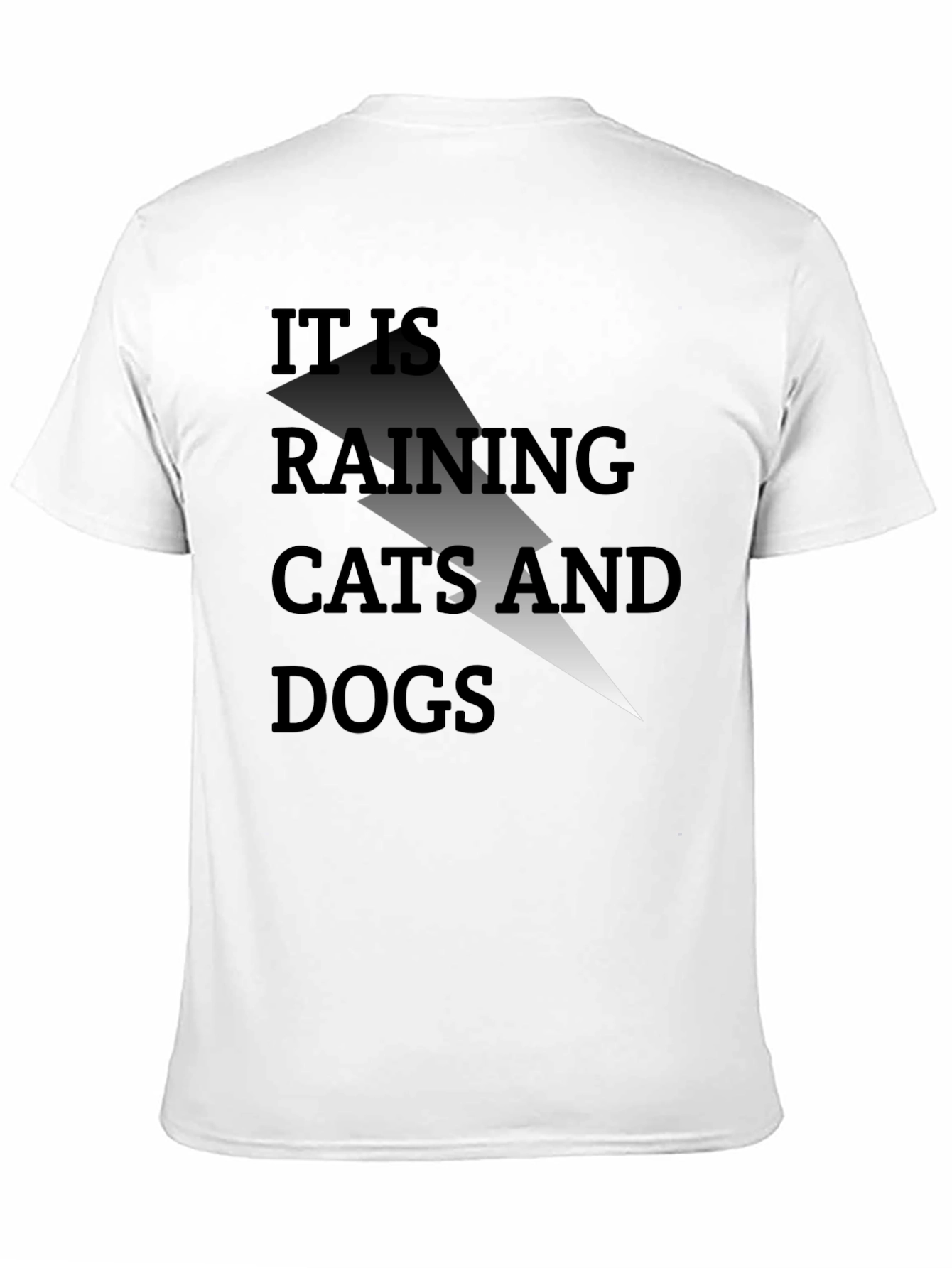 It Is Raining Cats and Dogs Graphic Tee