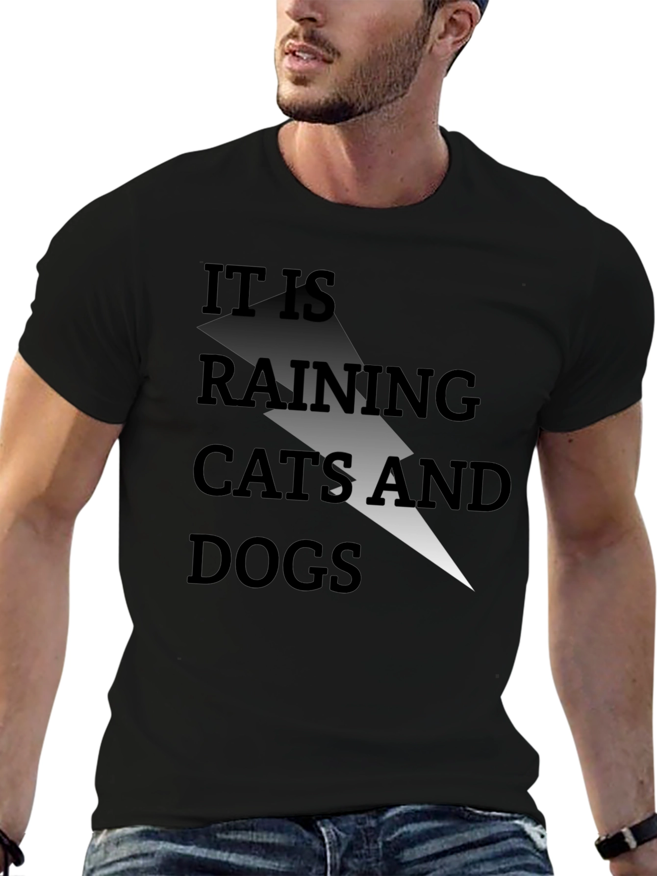 It Is Raining Cats and Dogs Graphic Tee