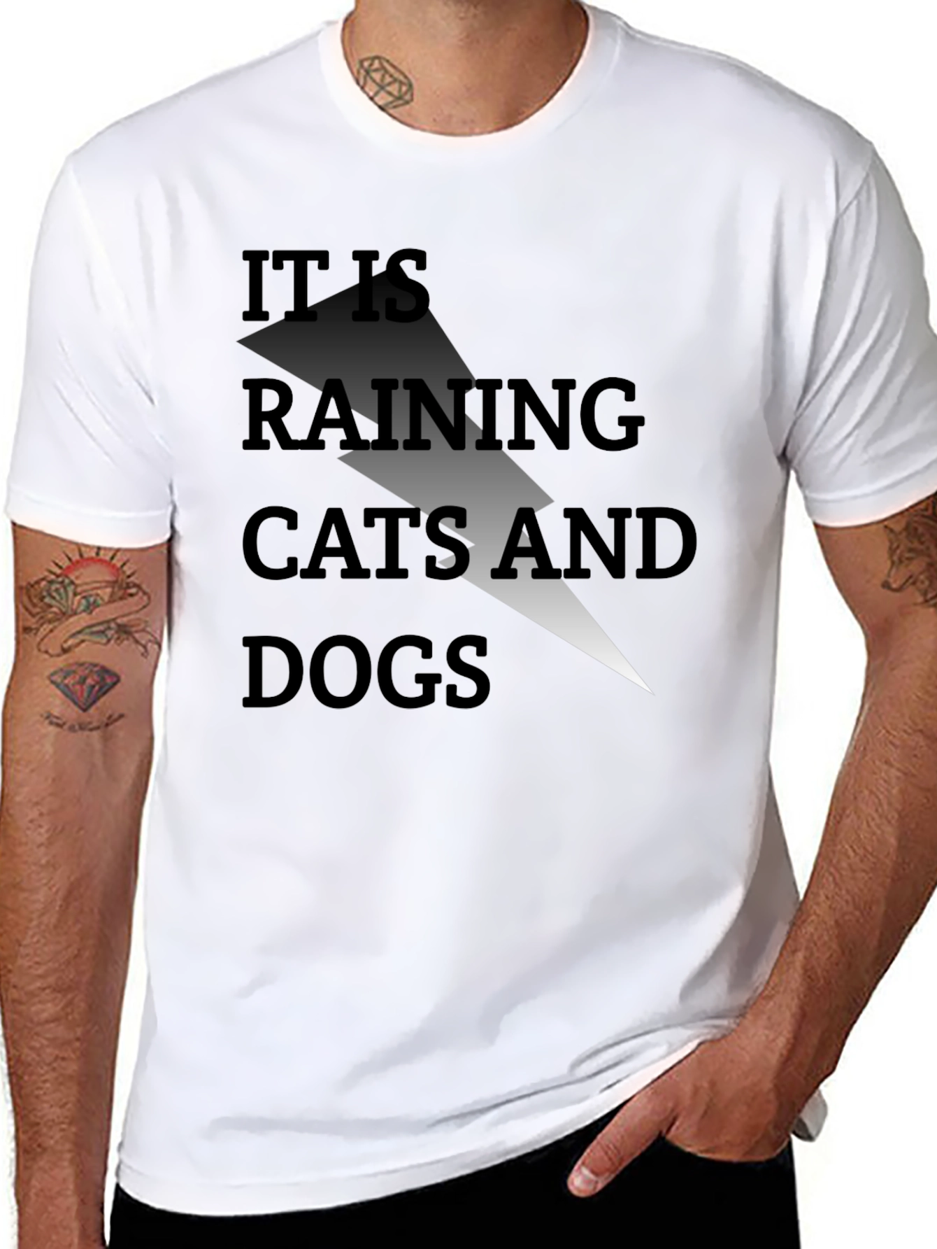 It Is Raining Cats and Dogs Graphic Tee