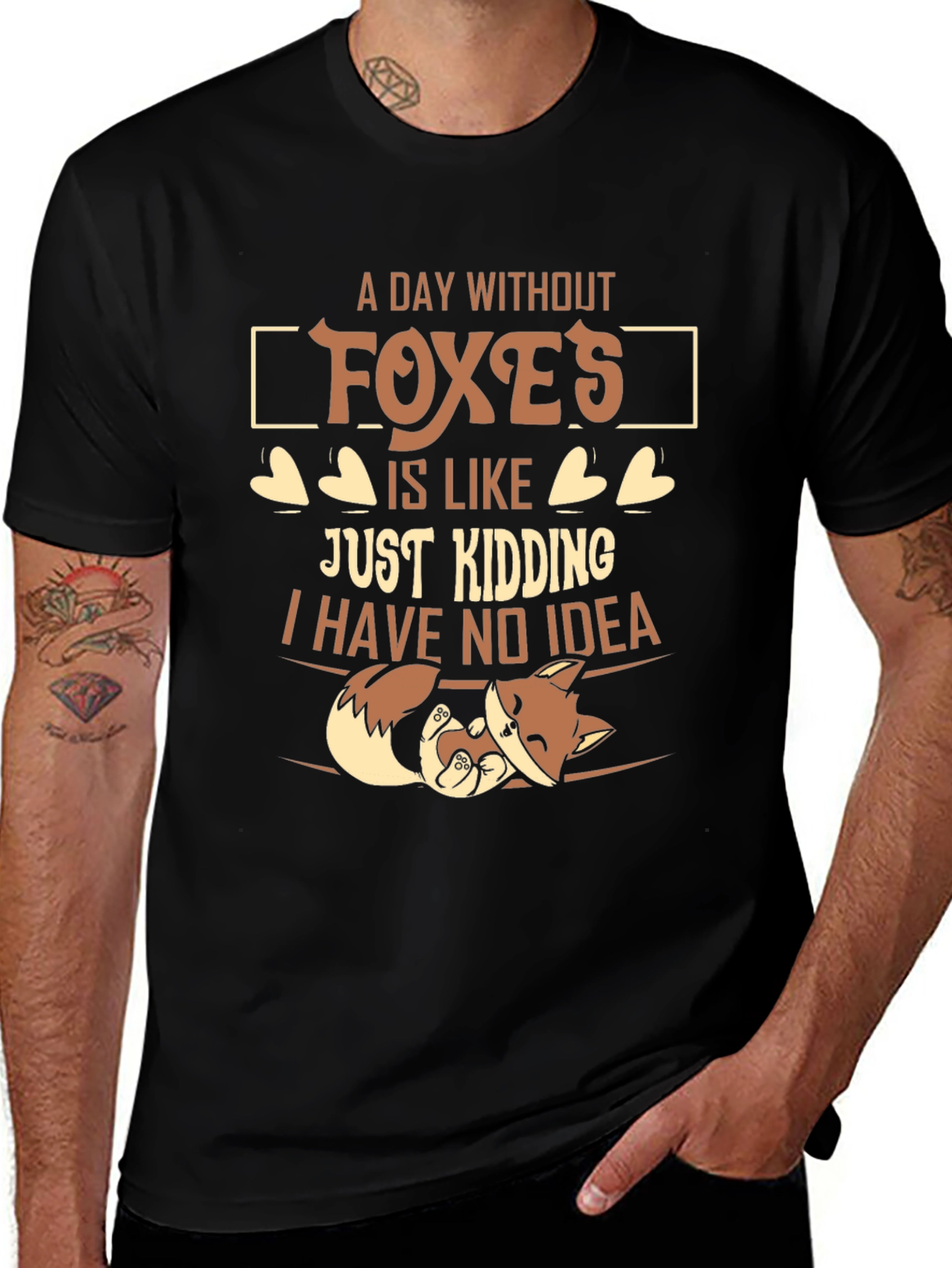A Day Without Foxes Funny Novelty T-Shirt