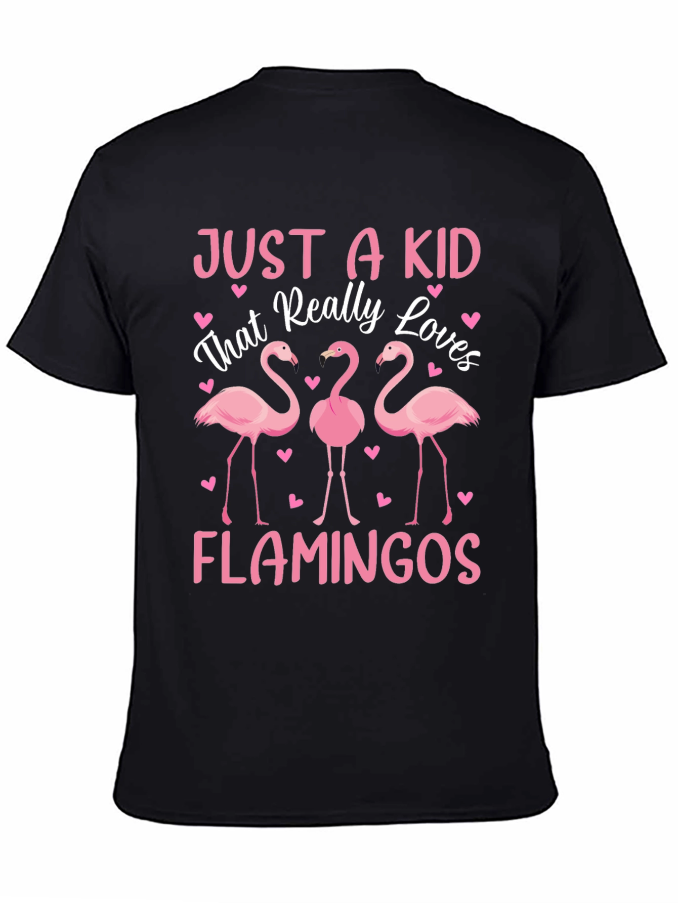Just a Kid That Really Loves Flamingos T-Shirt