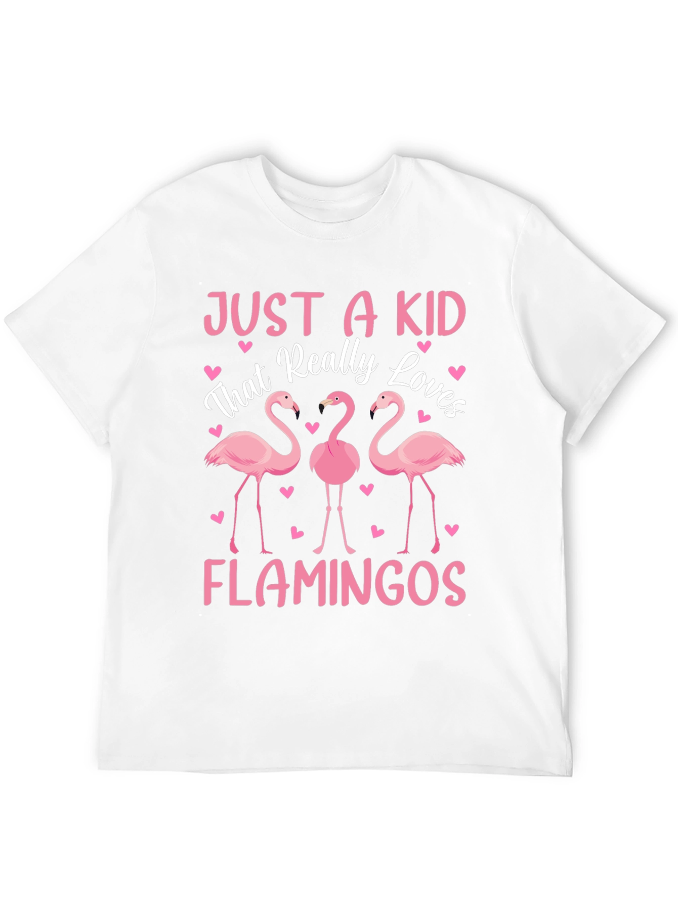 Just a Kid That Really Loves Flamingos T-Shirt
