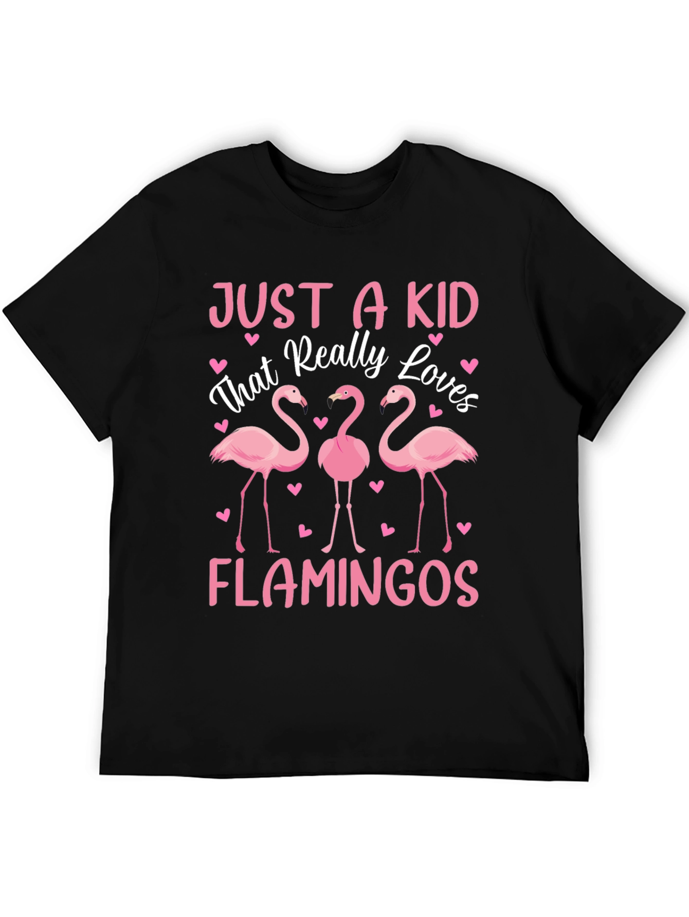 Just a Kid That Really Loves Flamingos T-Shirt