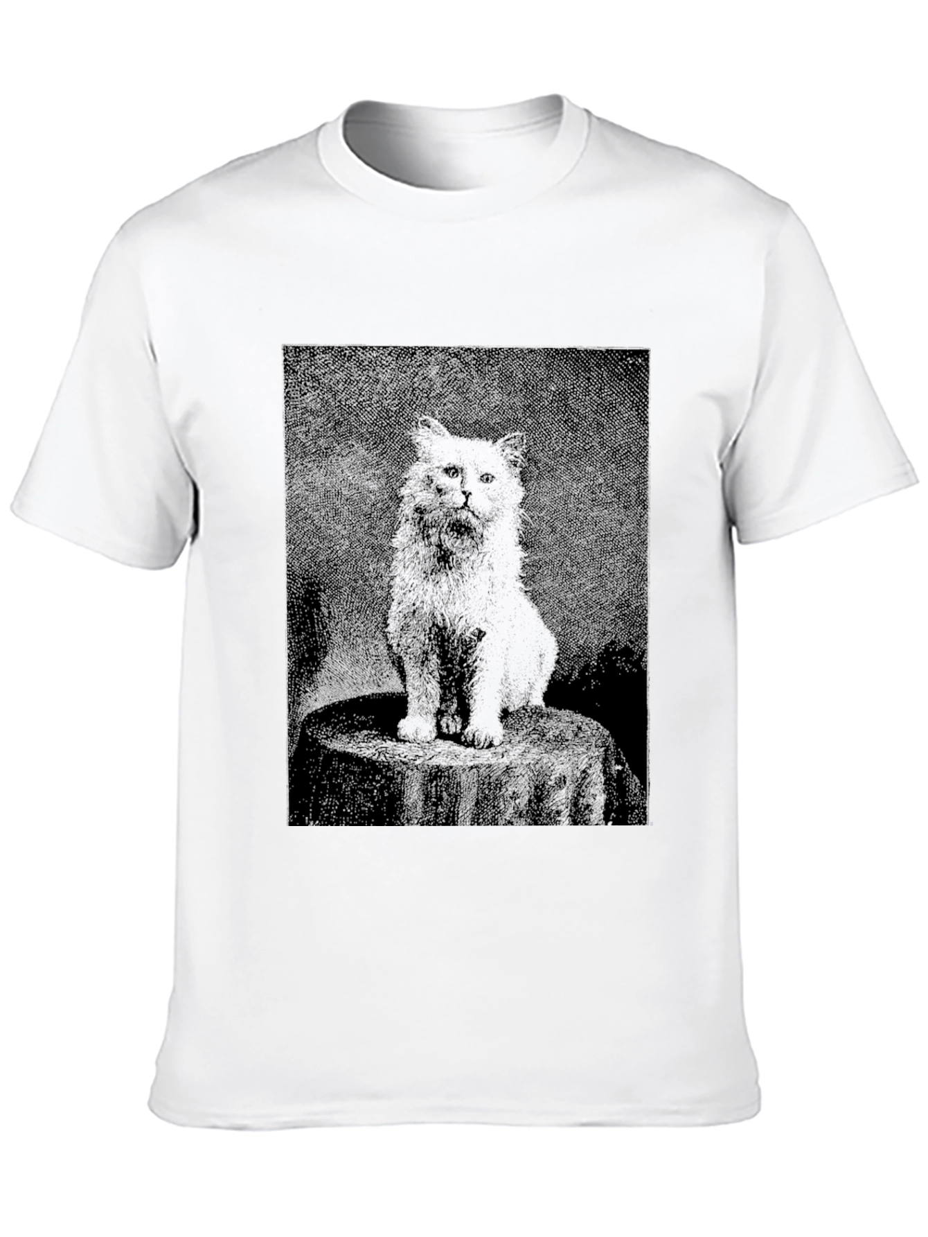 Black T-Shirt with Cat Graphic