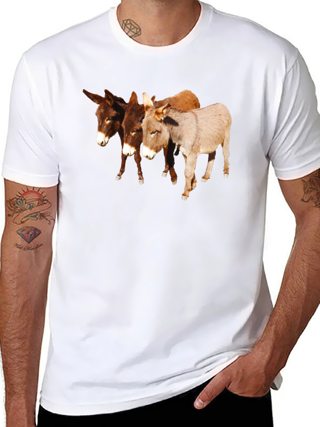 Novelty Donkey T-Shirt