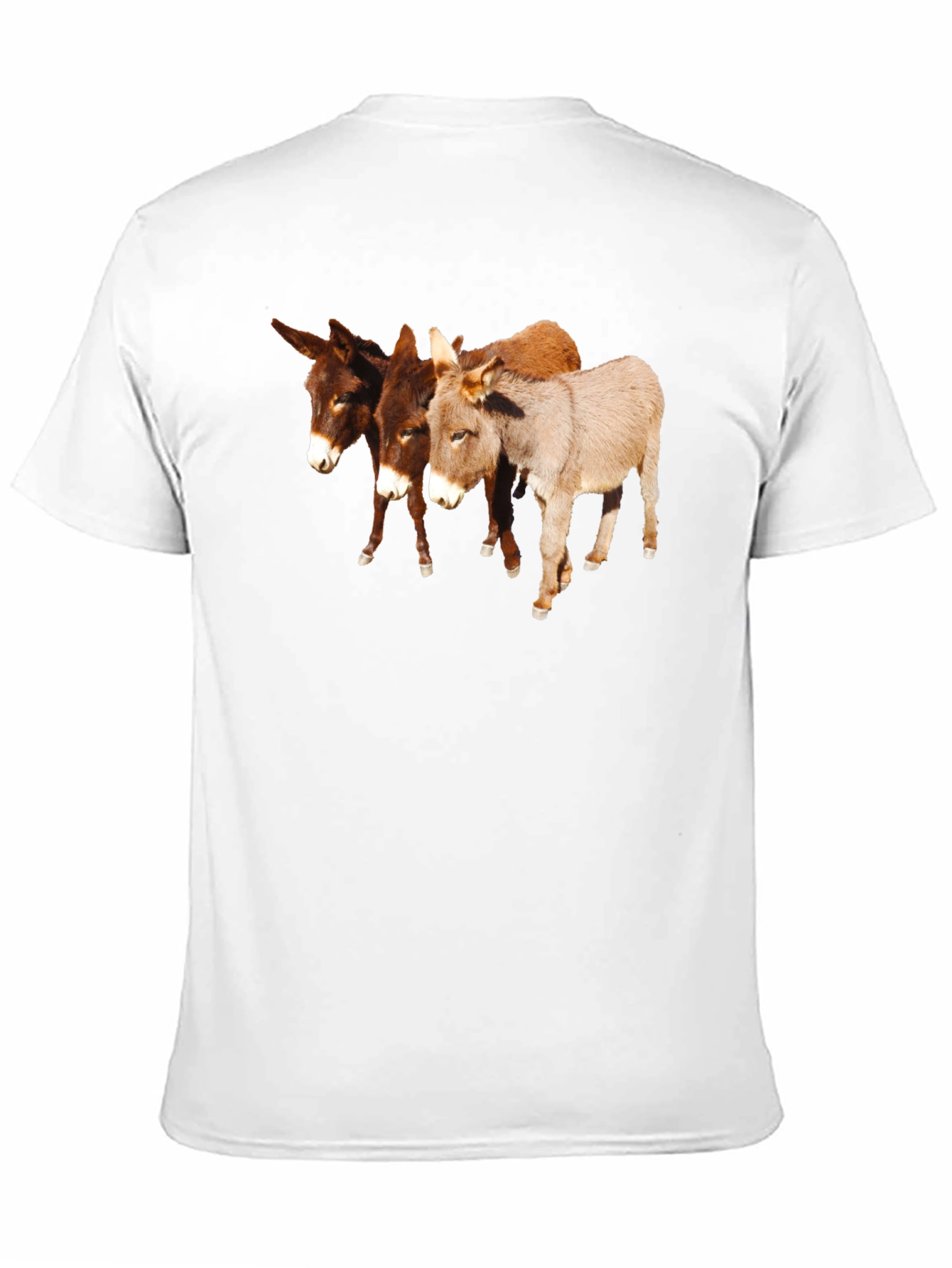 Novelty Donkey T-Shirt