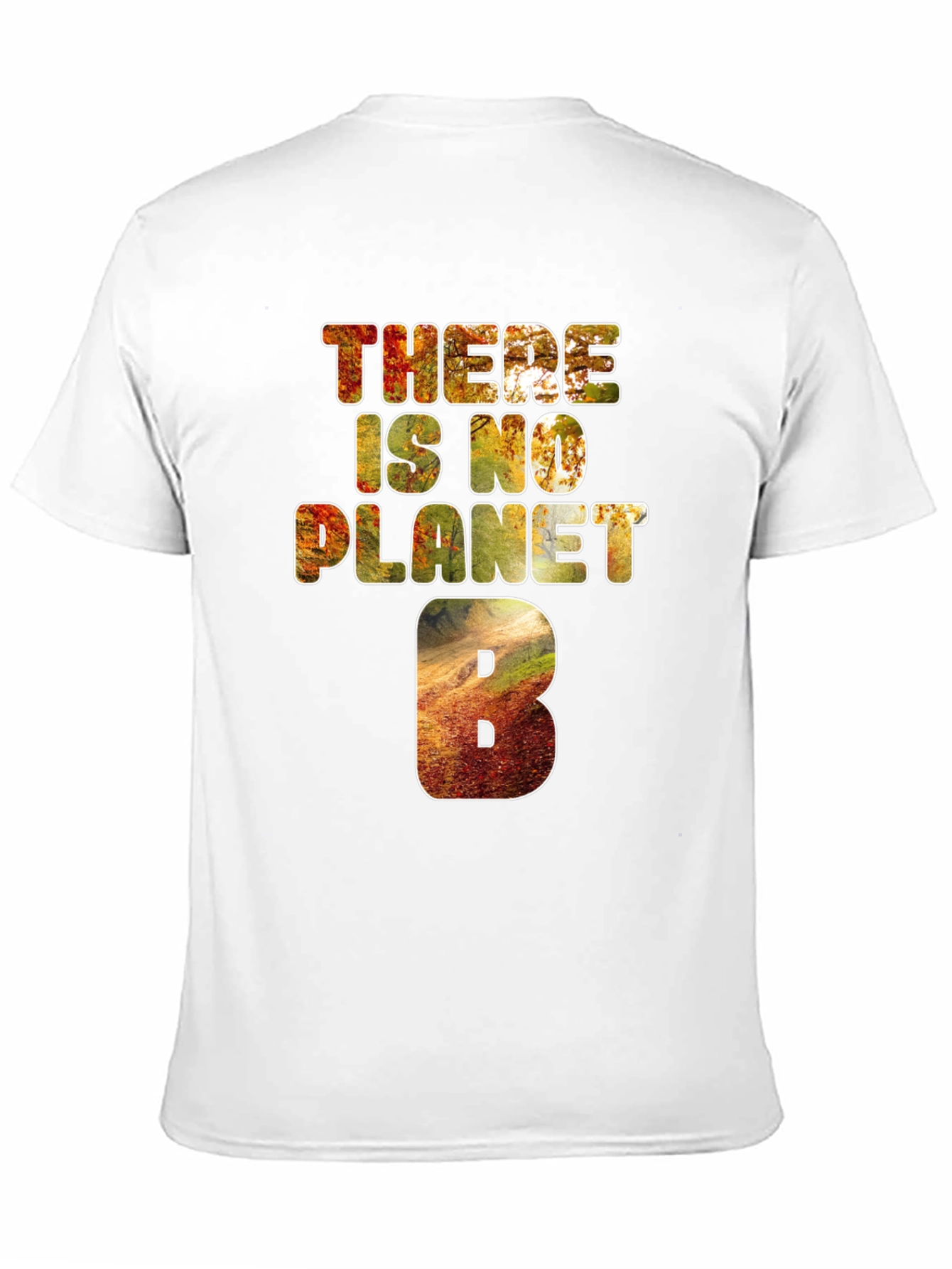 There Is No Planet B Graphic Tee