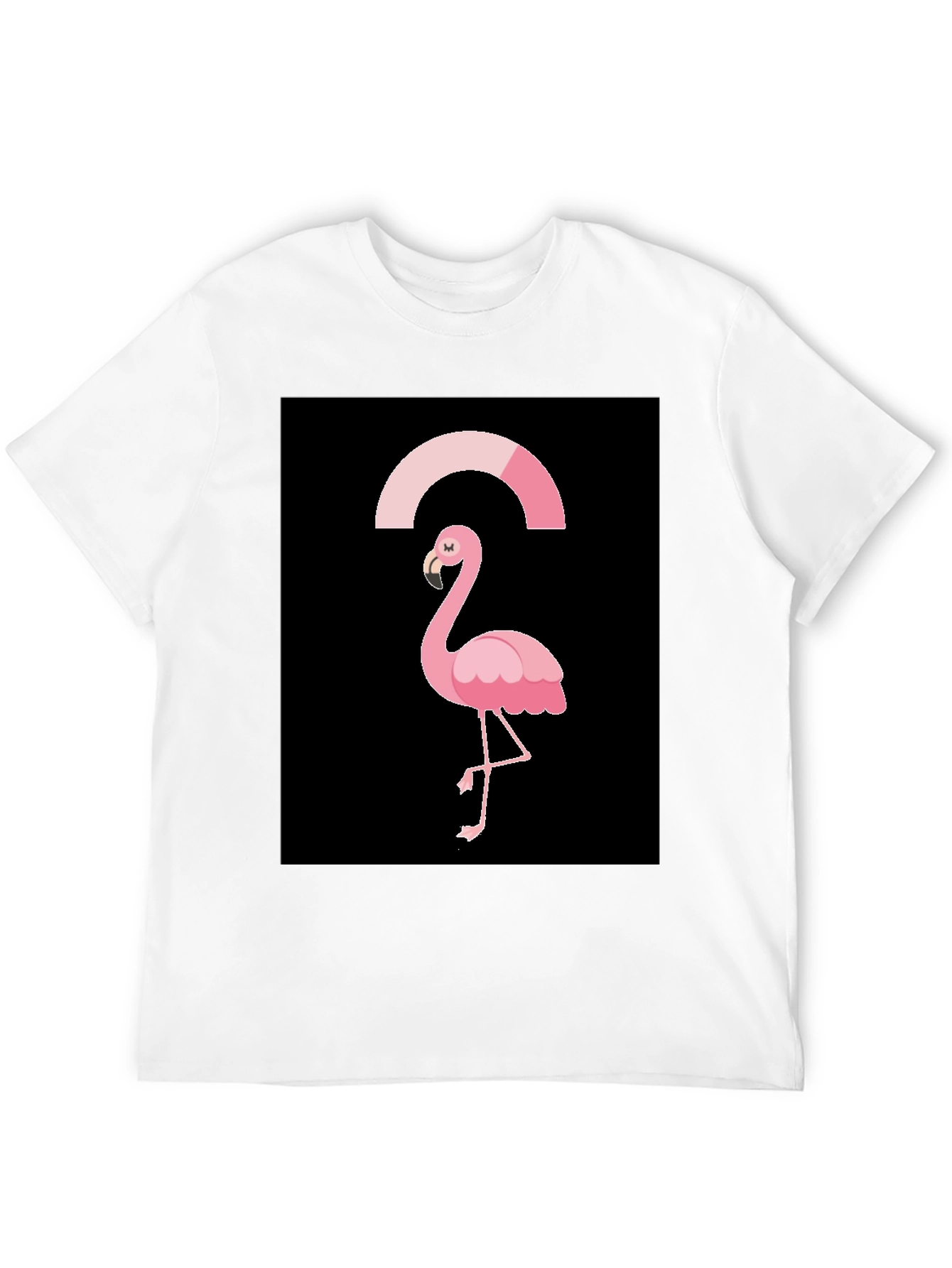 Black Flamingo Graphic Tee
