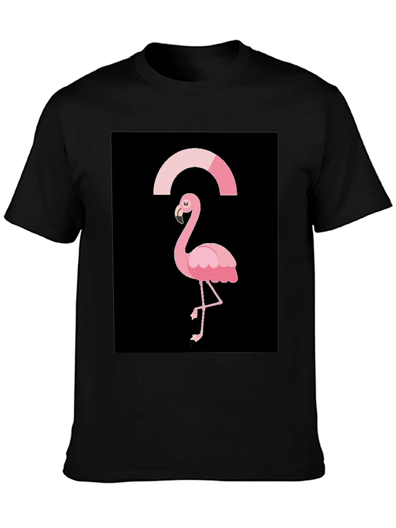 Black Flamingo Graphic Tee
