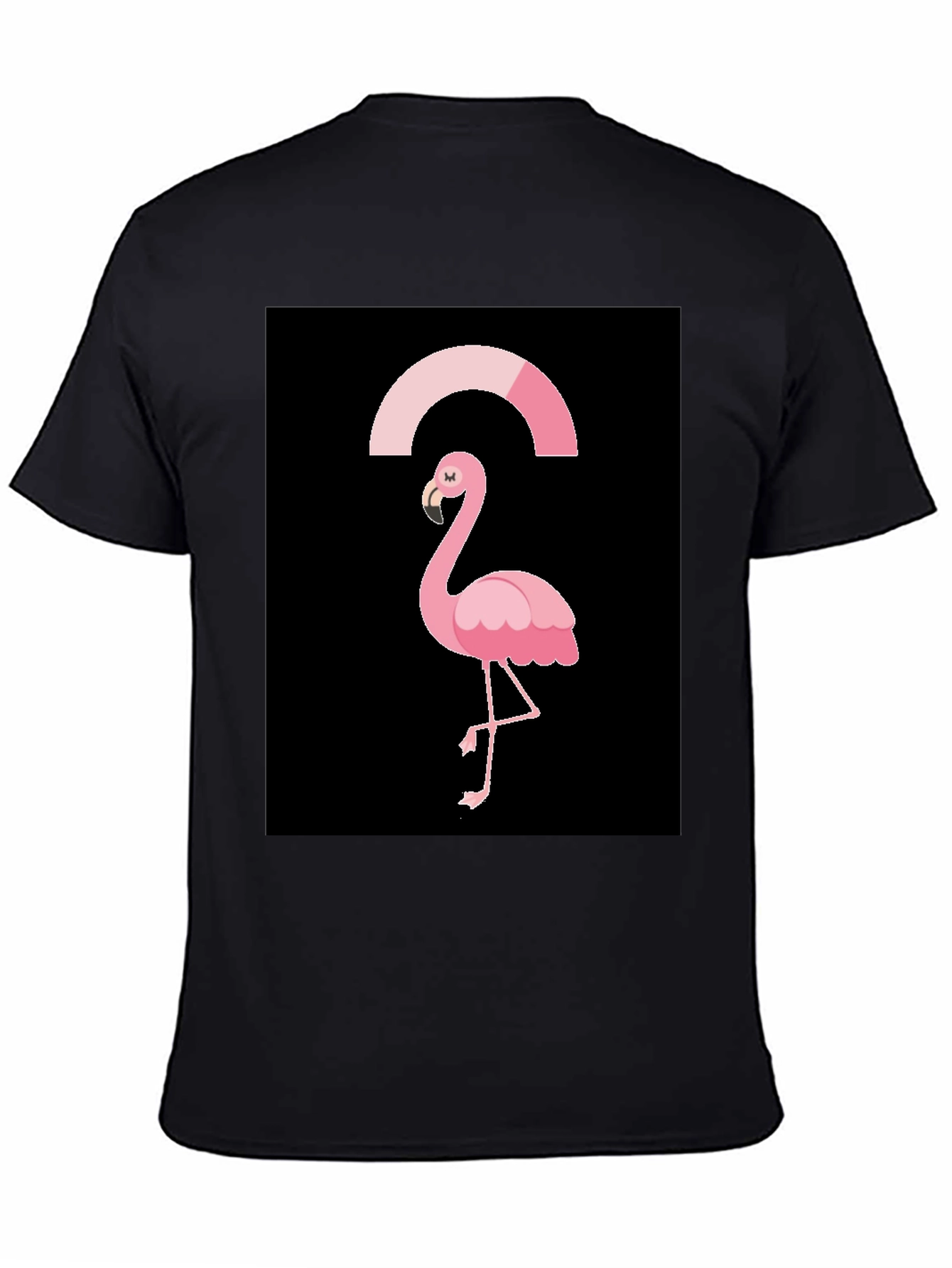 Black Flamingo Graphic Tee