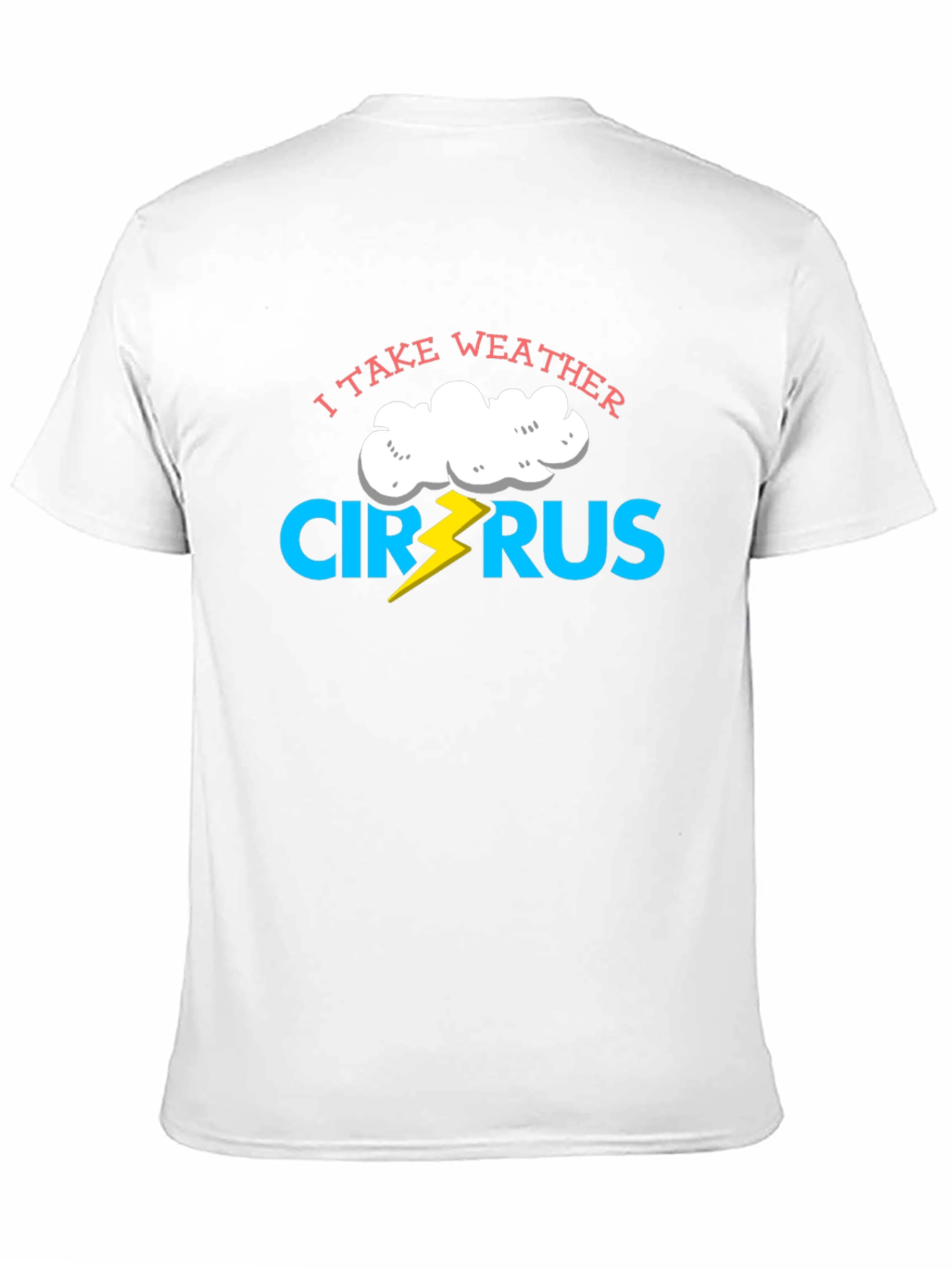I Take Weather Cirrus-ly Funny T-Shirt
