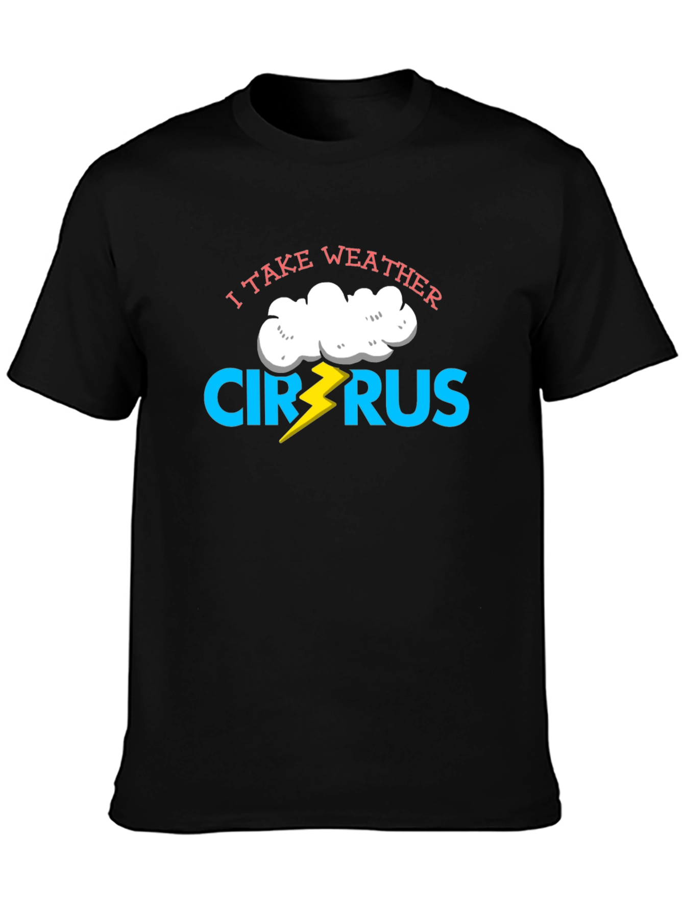 I Take Weather Cirrus-ly Funny T-Shirt