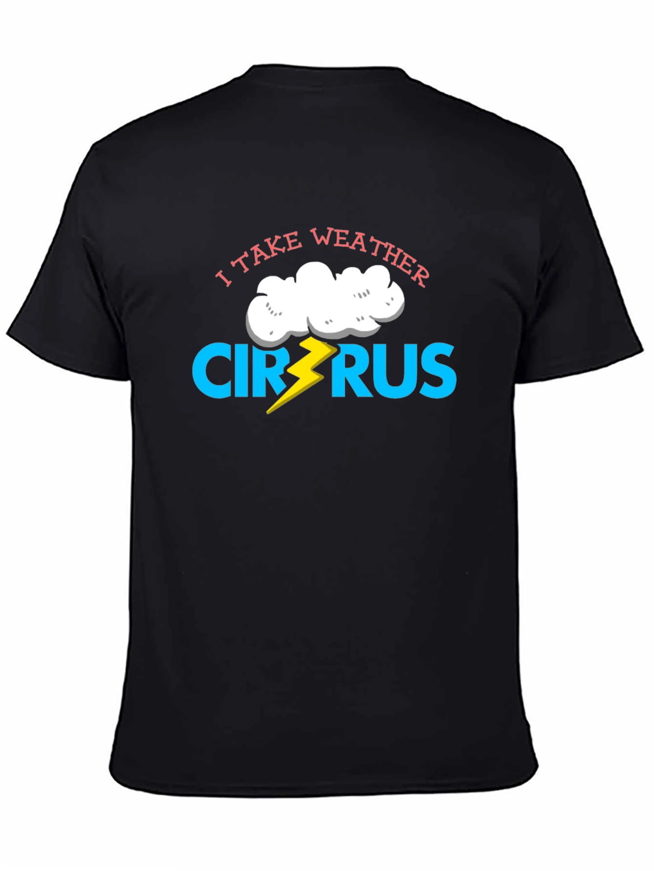 I Take Weather Cirrus-ly Funny T-Shirt